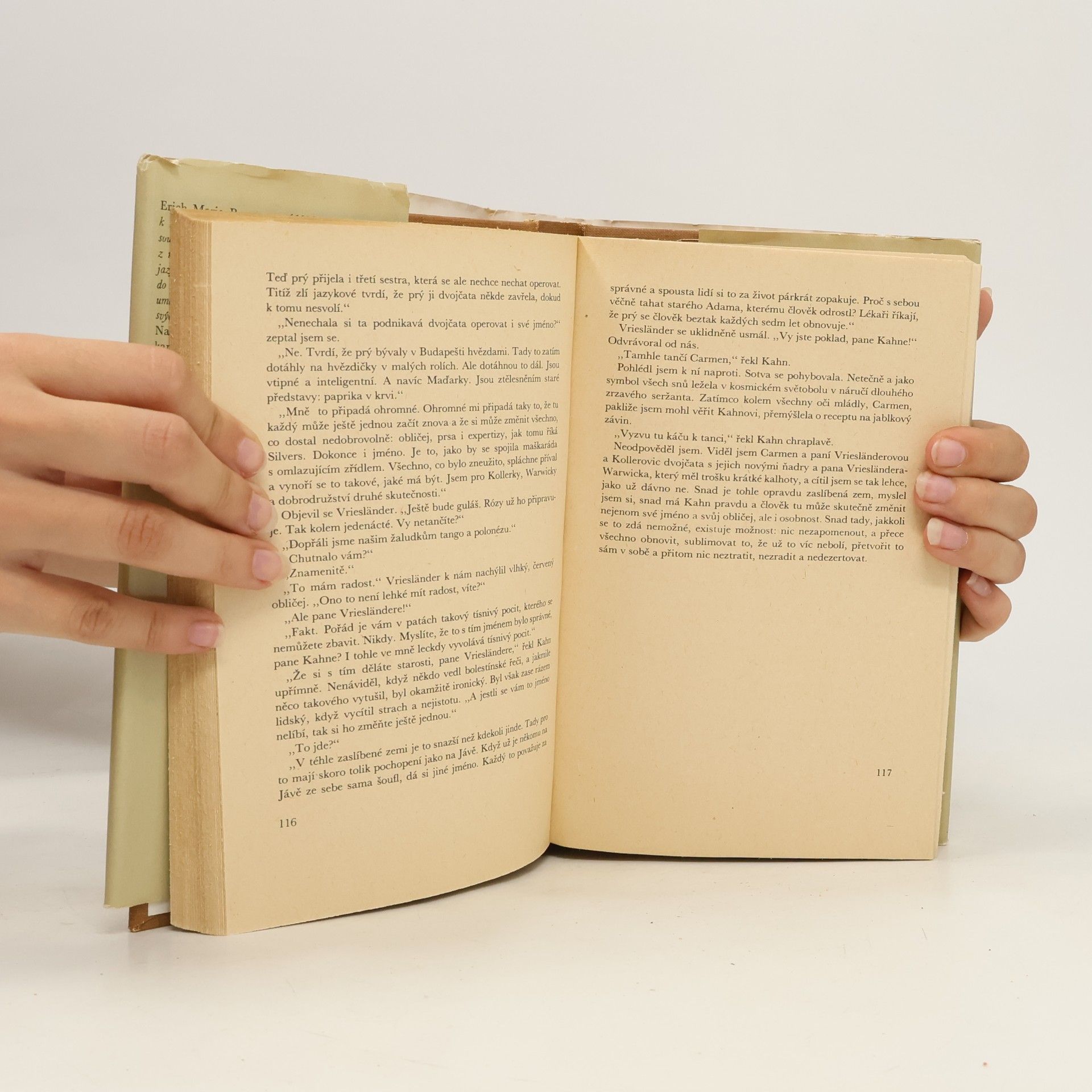 Erich Maria Remarque Stíny v ráji