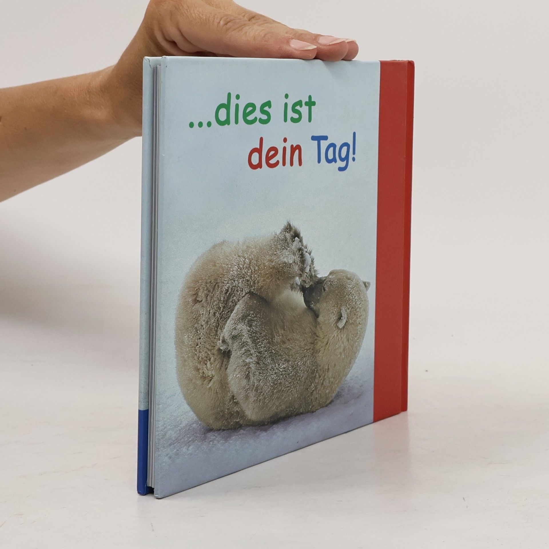 Vera Stein Genieße jeden Augenblick ...