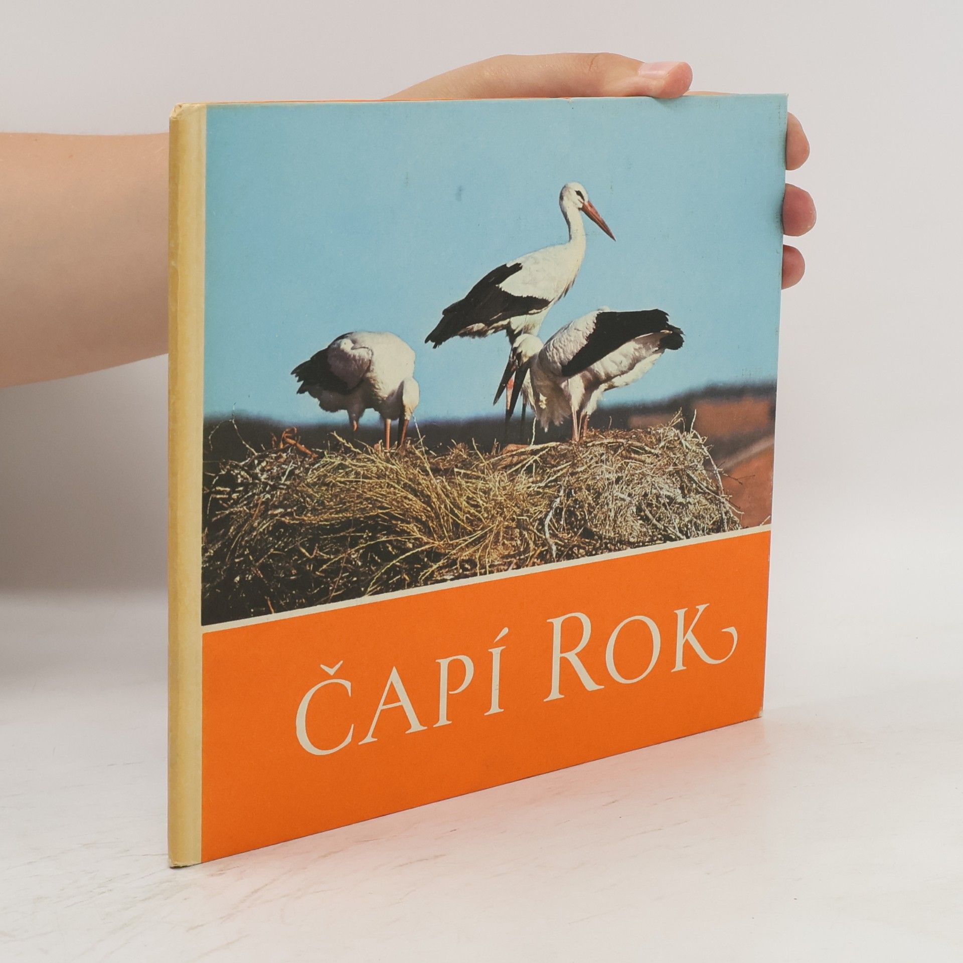 Claus Schönert Čapí rok. Čáp bílý, jak byl u nás pozorován a fotografován