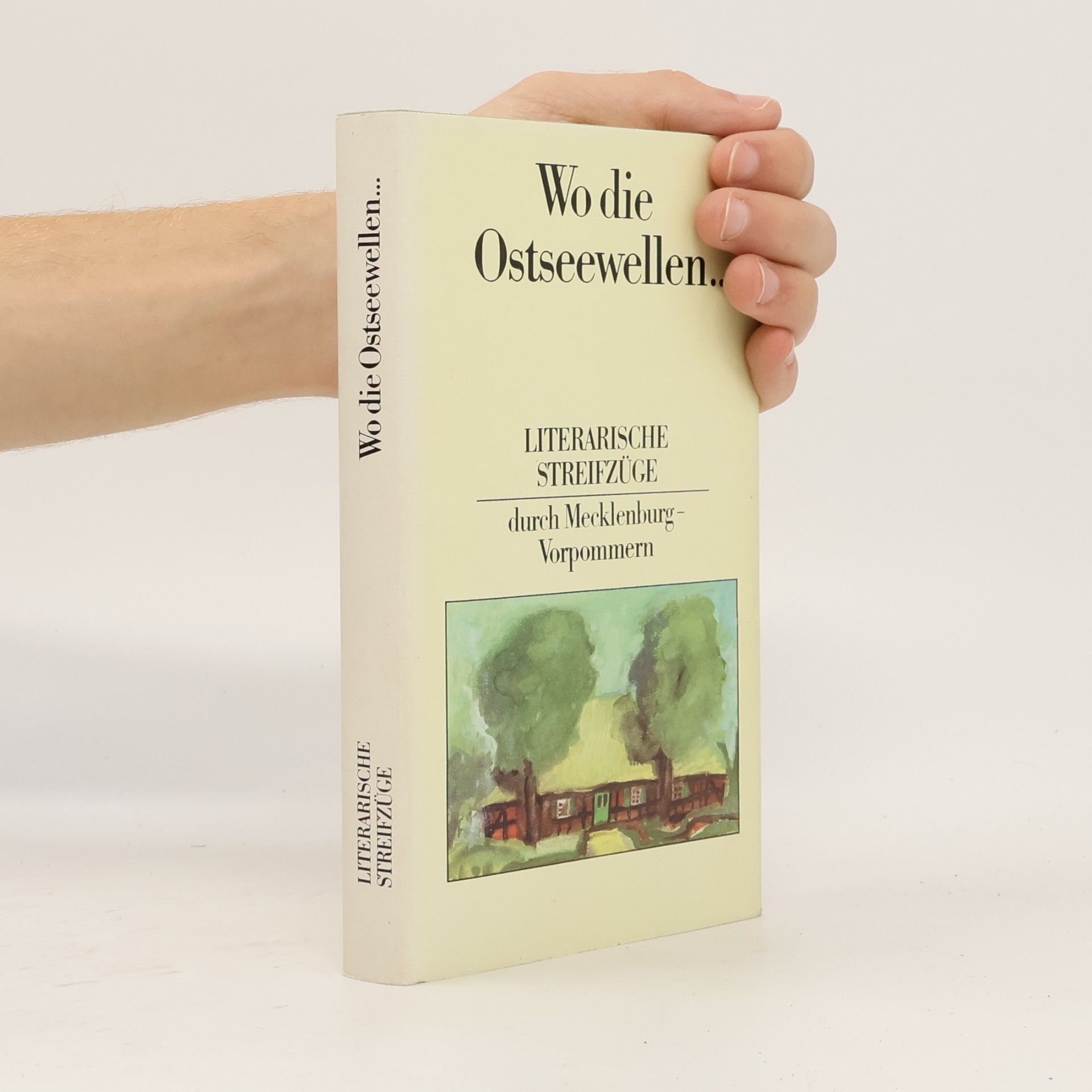 Jürgen Borchert Wo die Ostseewellen