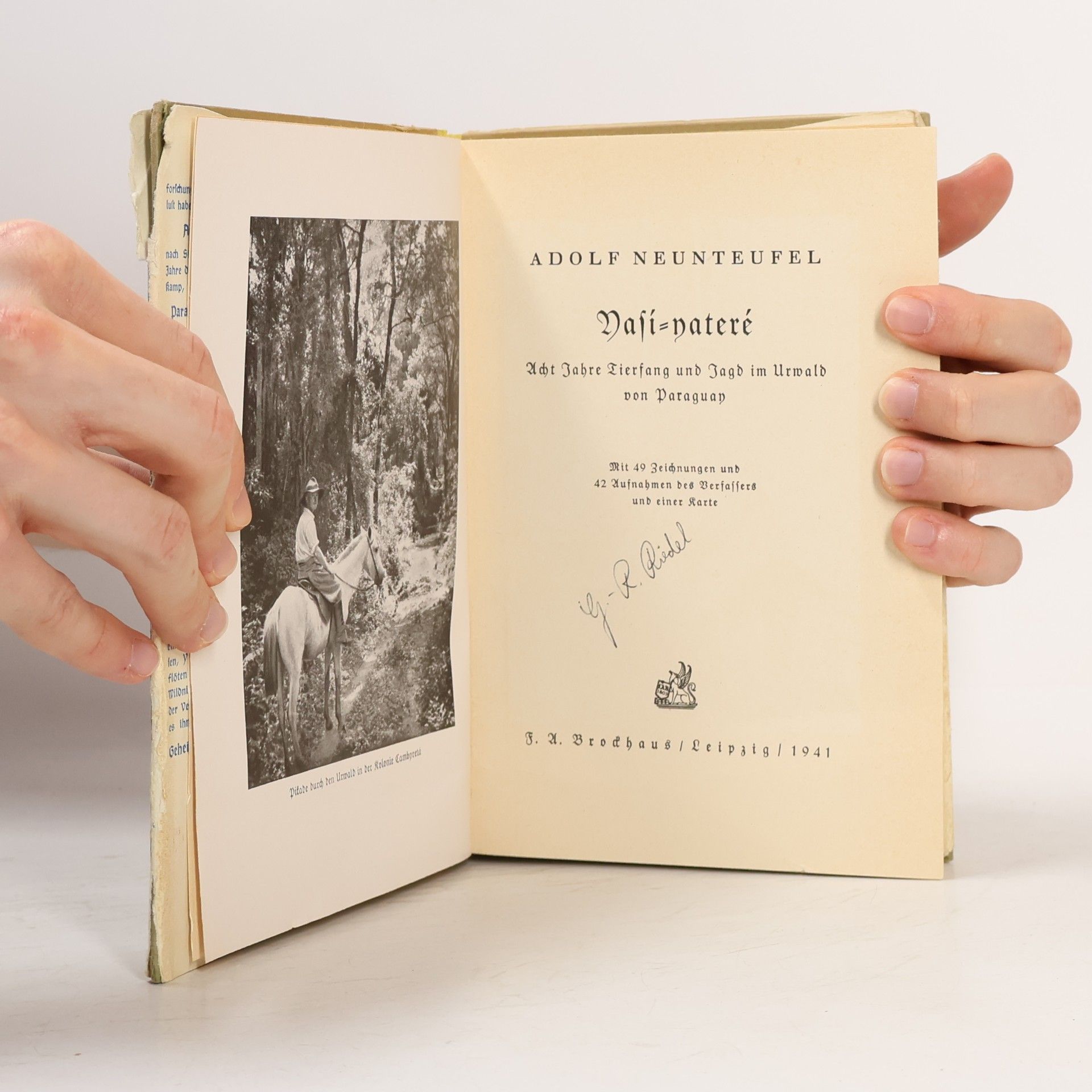 Adolf Neunteufel Yasí-Yateré
