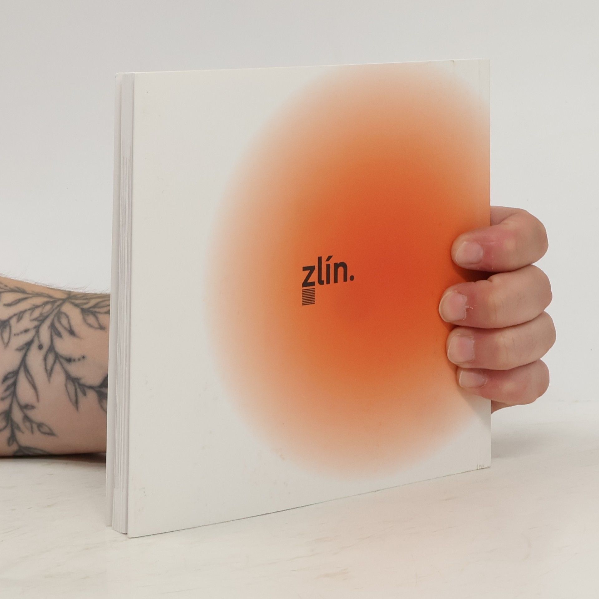 Autorenkollektiv Zlínská architektura