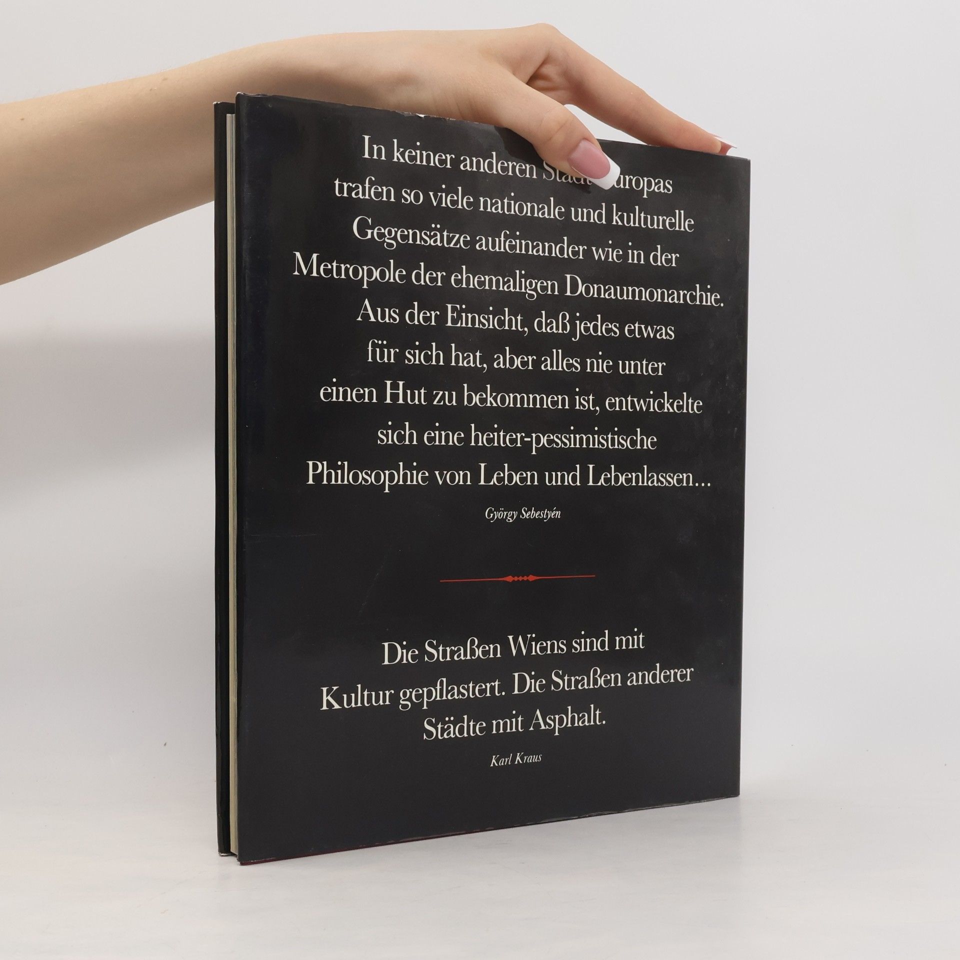 Konrad Schmidt-Wolbrandt Wien