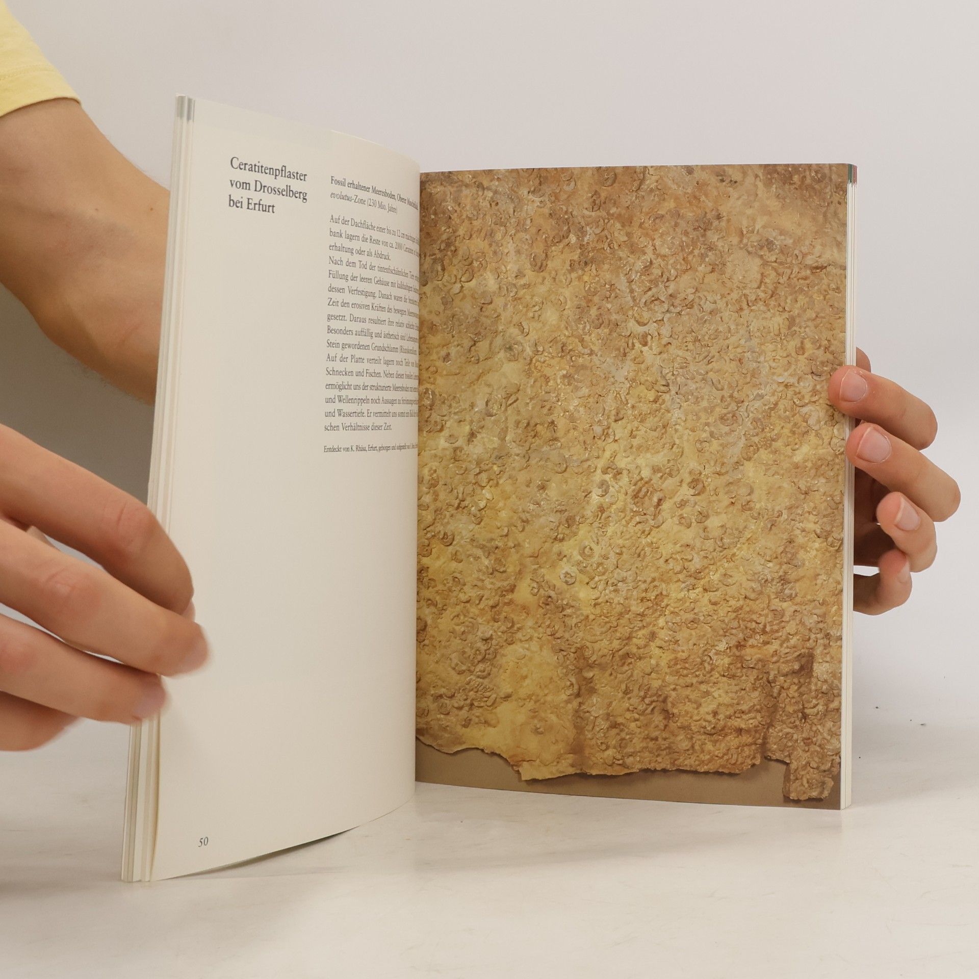 Autorenkollektiv Naturkundemuseum Erfurt