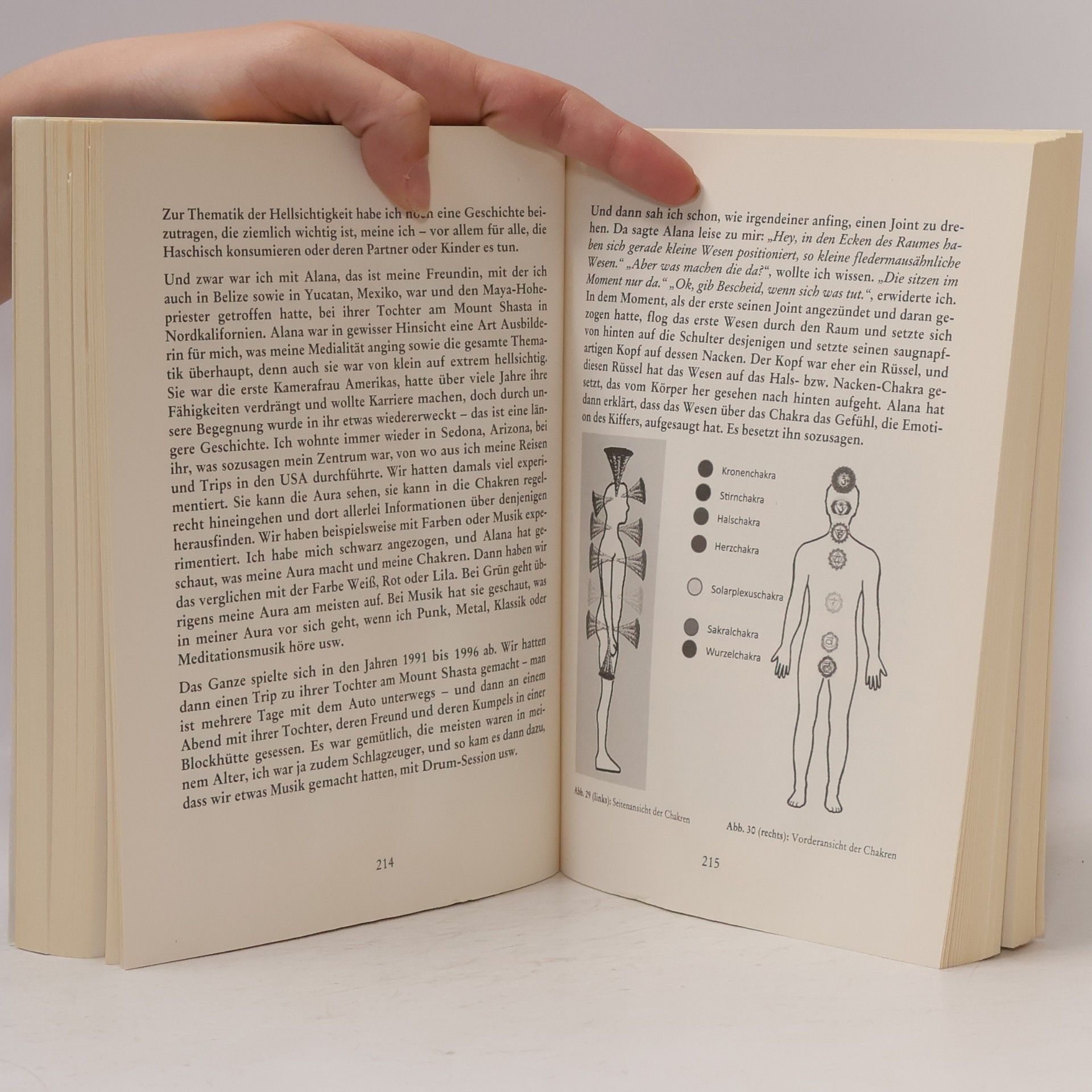 Jan Udo Holey Handbuch für Götter
