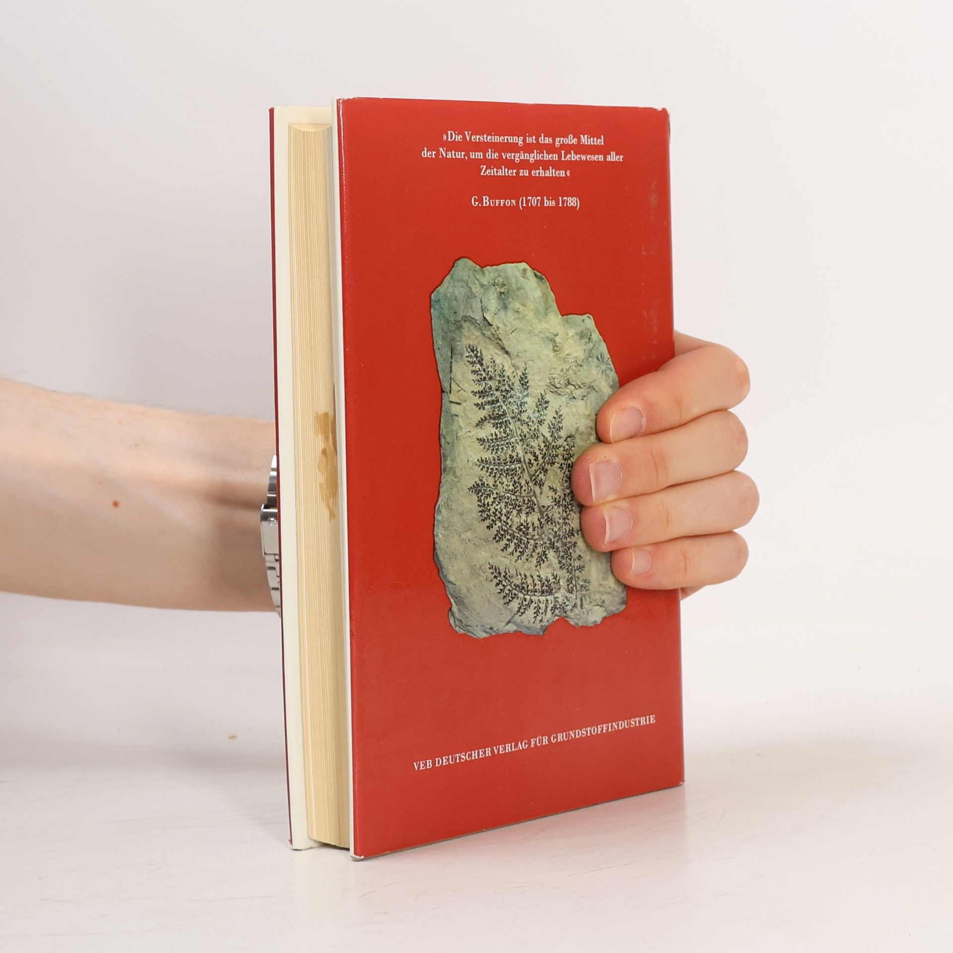 Gu nter Krumbiegel Fossilien