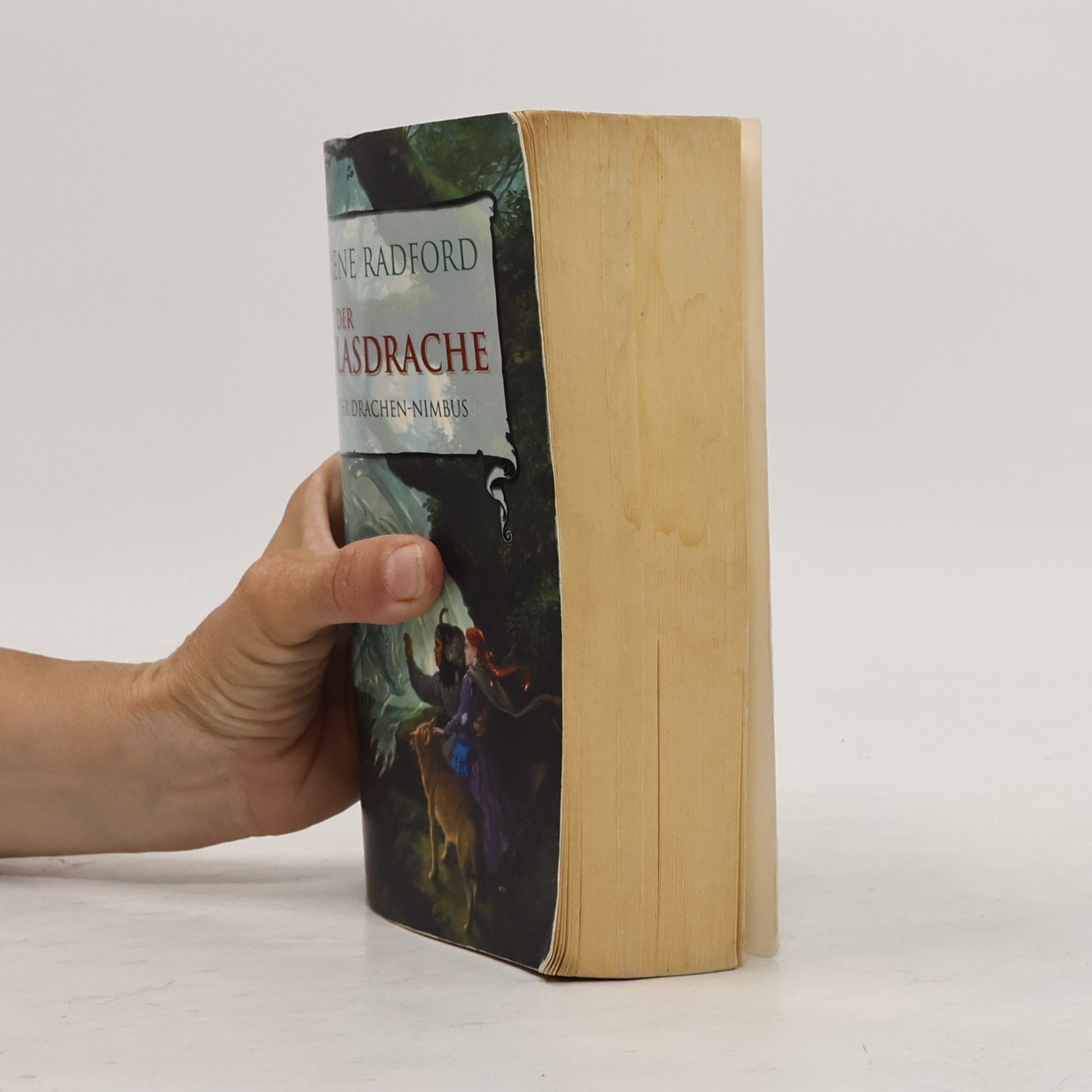 Irene Radford Der Drachen-Nimbus 1. Der Glasdrache
