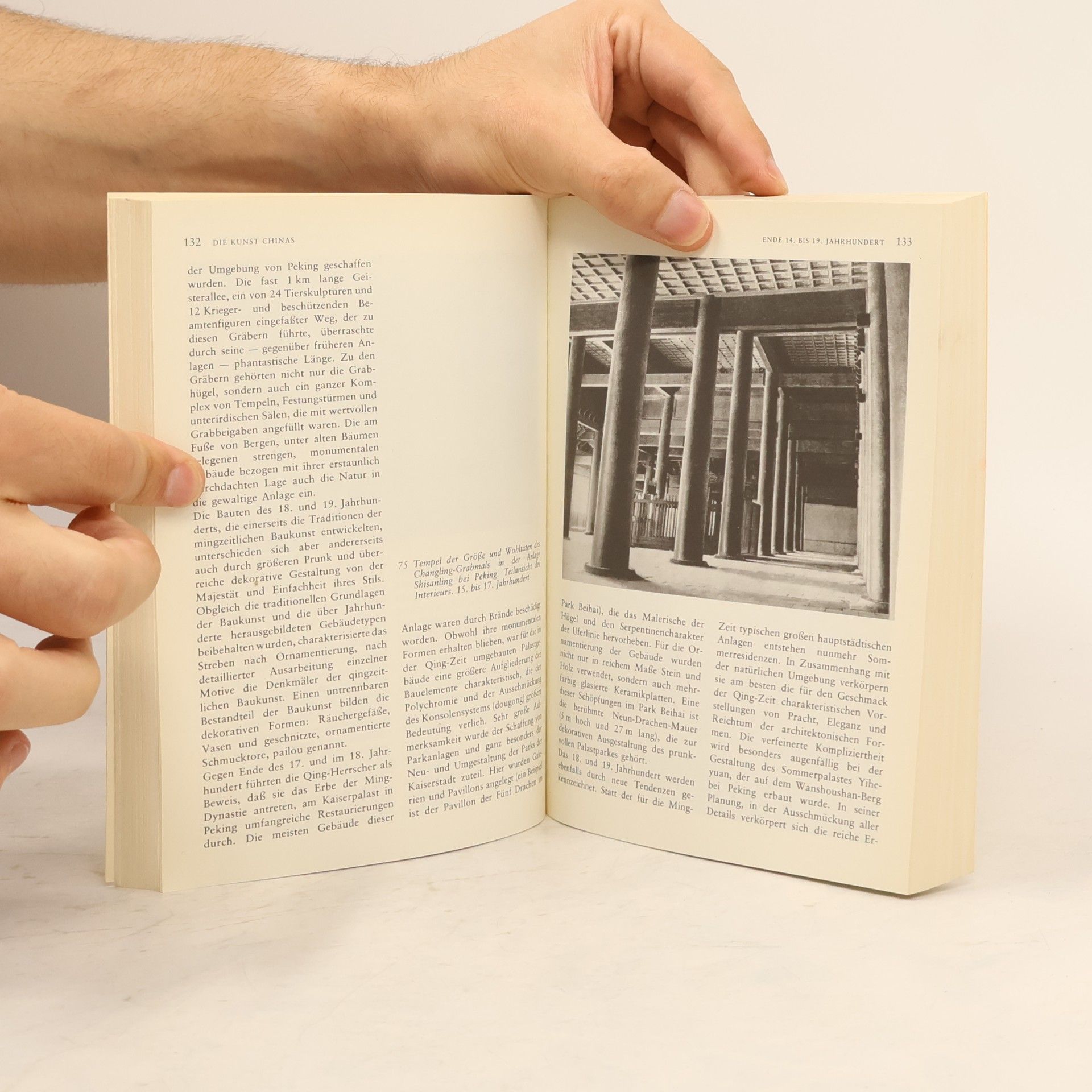 Kolektiv autorů Kunst des fernen Ostens