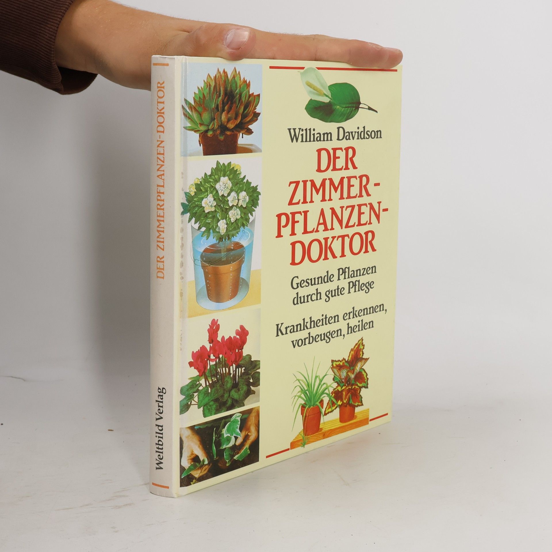 William Davidson Der Zimmerpflanzendoktor