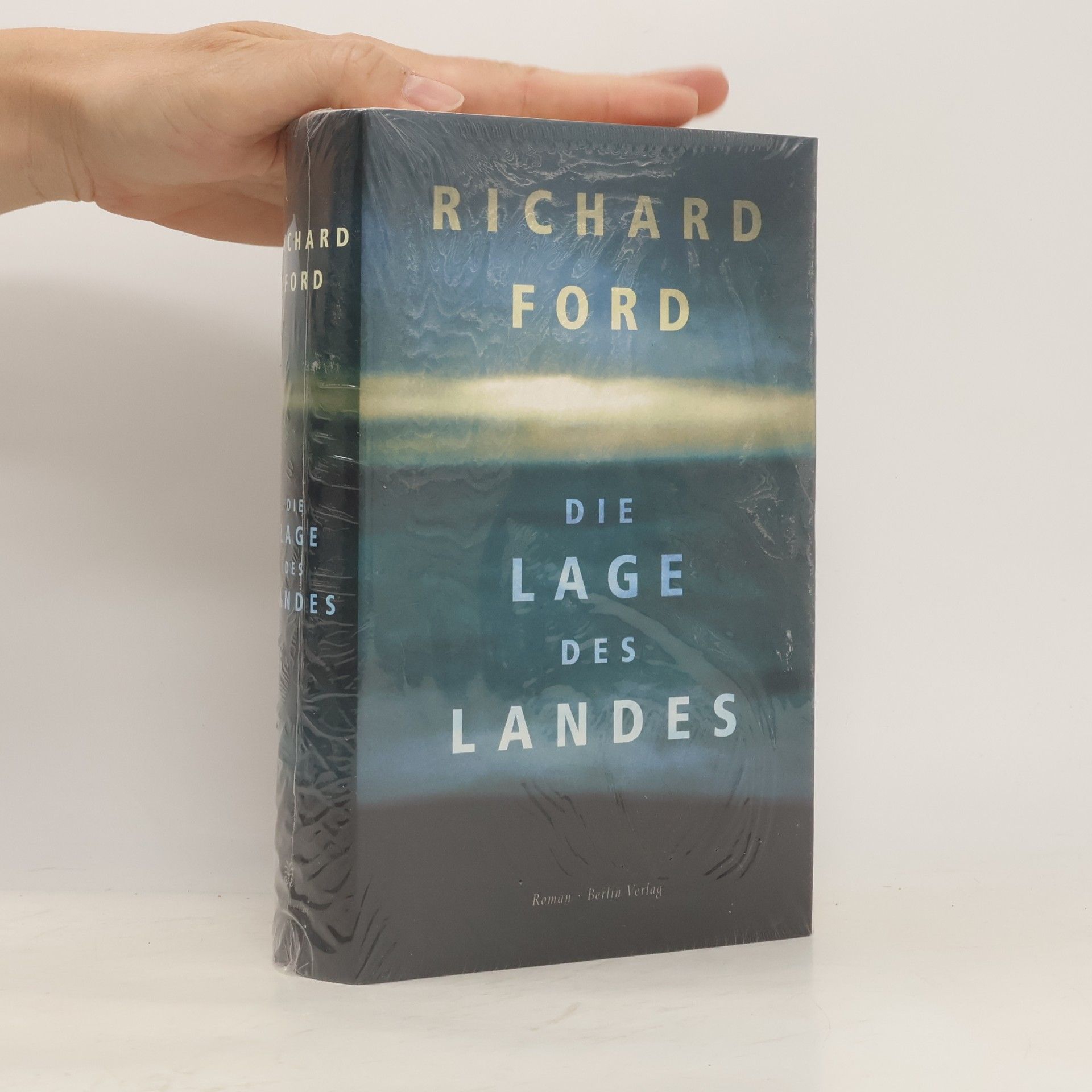 Richard Ford Die Lage des Landes