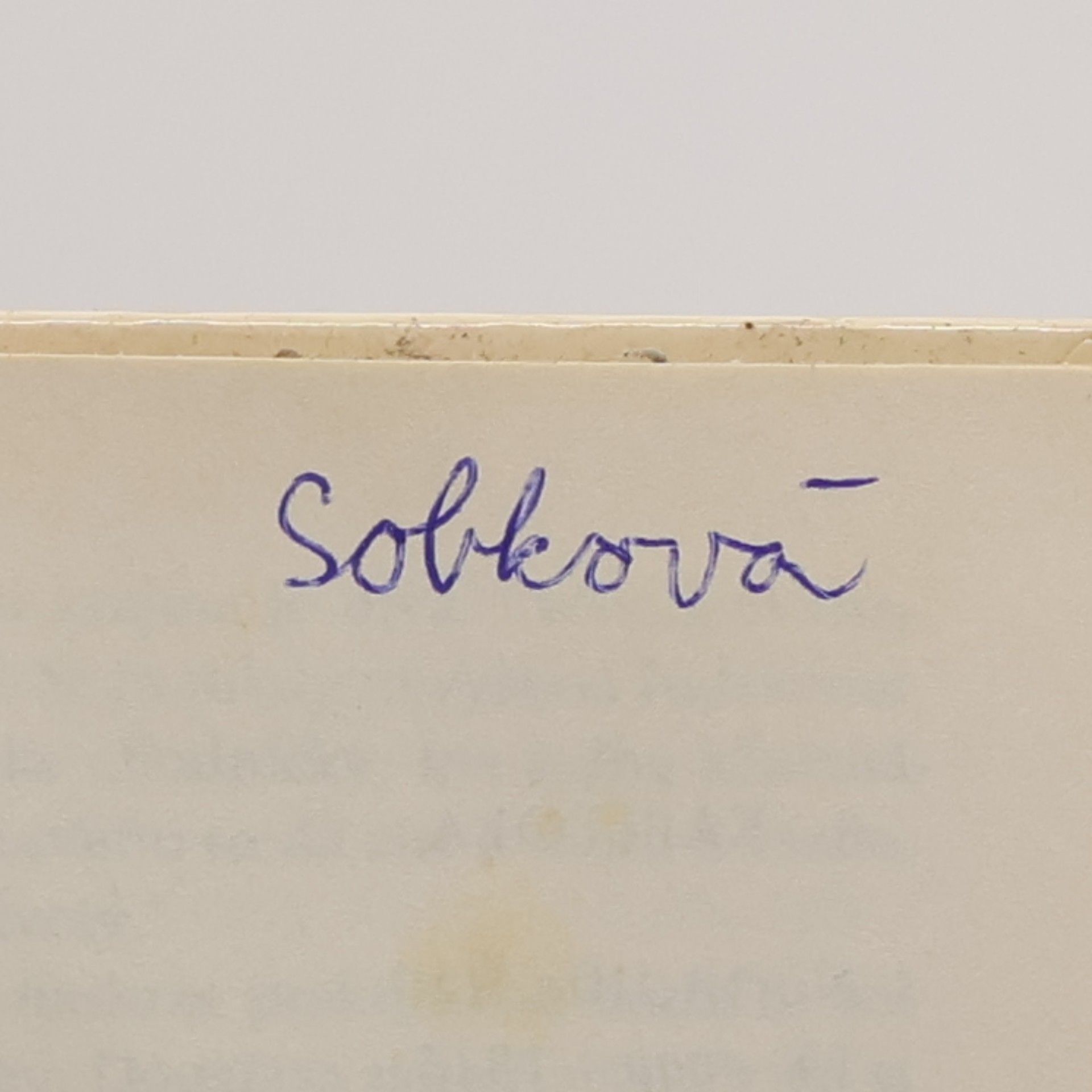 Catherine Coulter Farárova nevesta