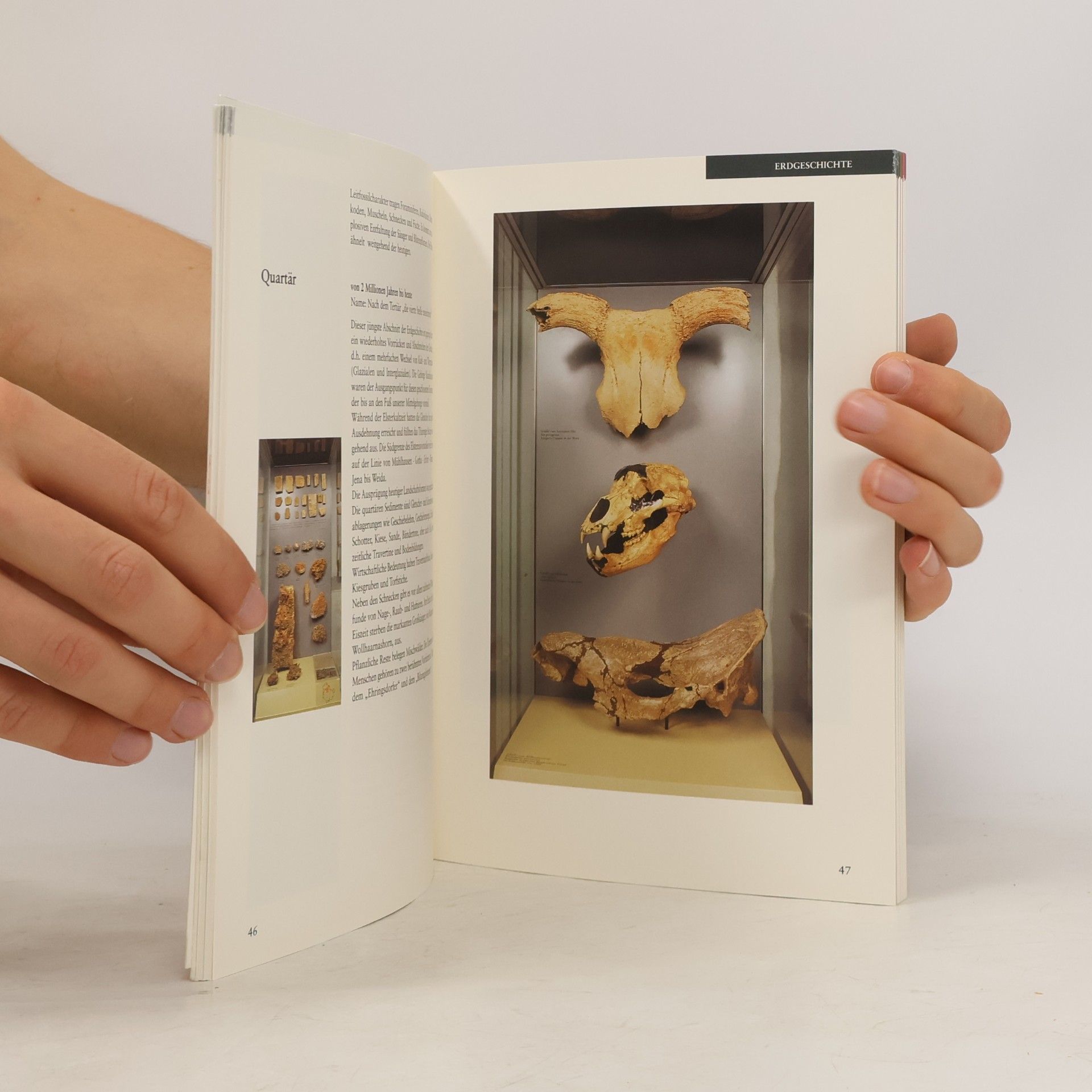Collectif d'auteurs Naturkundemuseum Erfurt