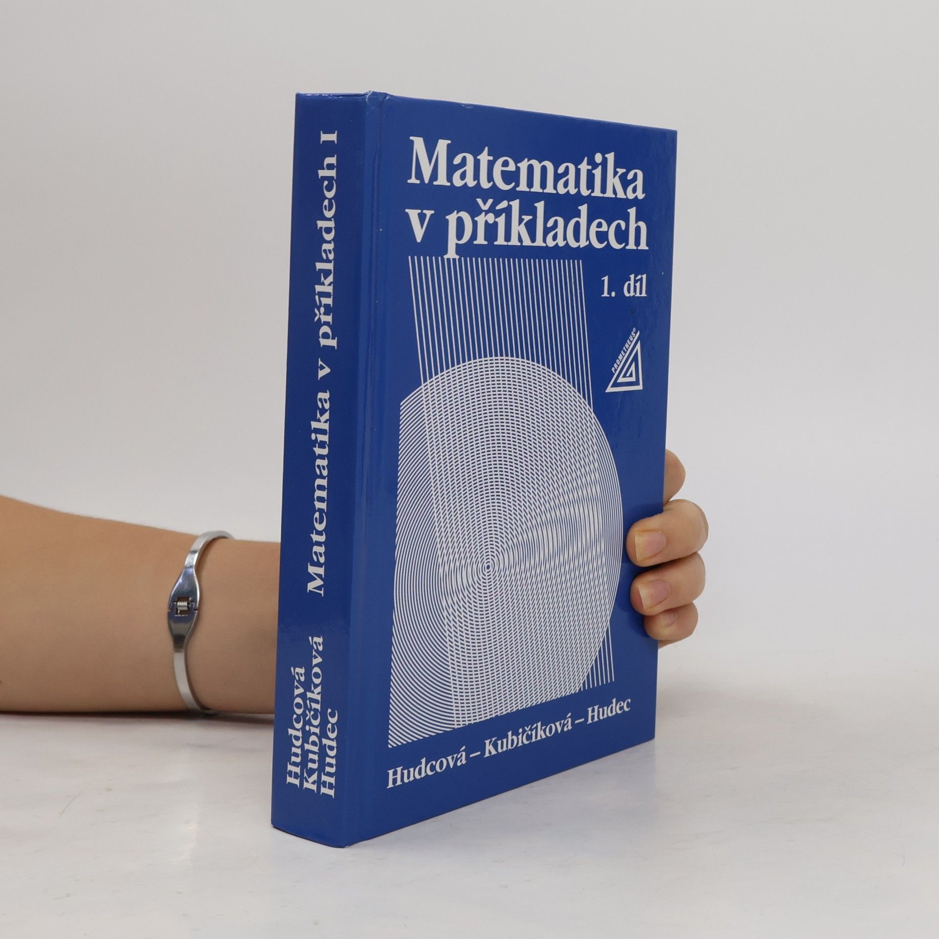 Matematika v příkladech. 1. díl