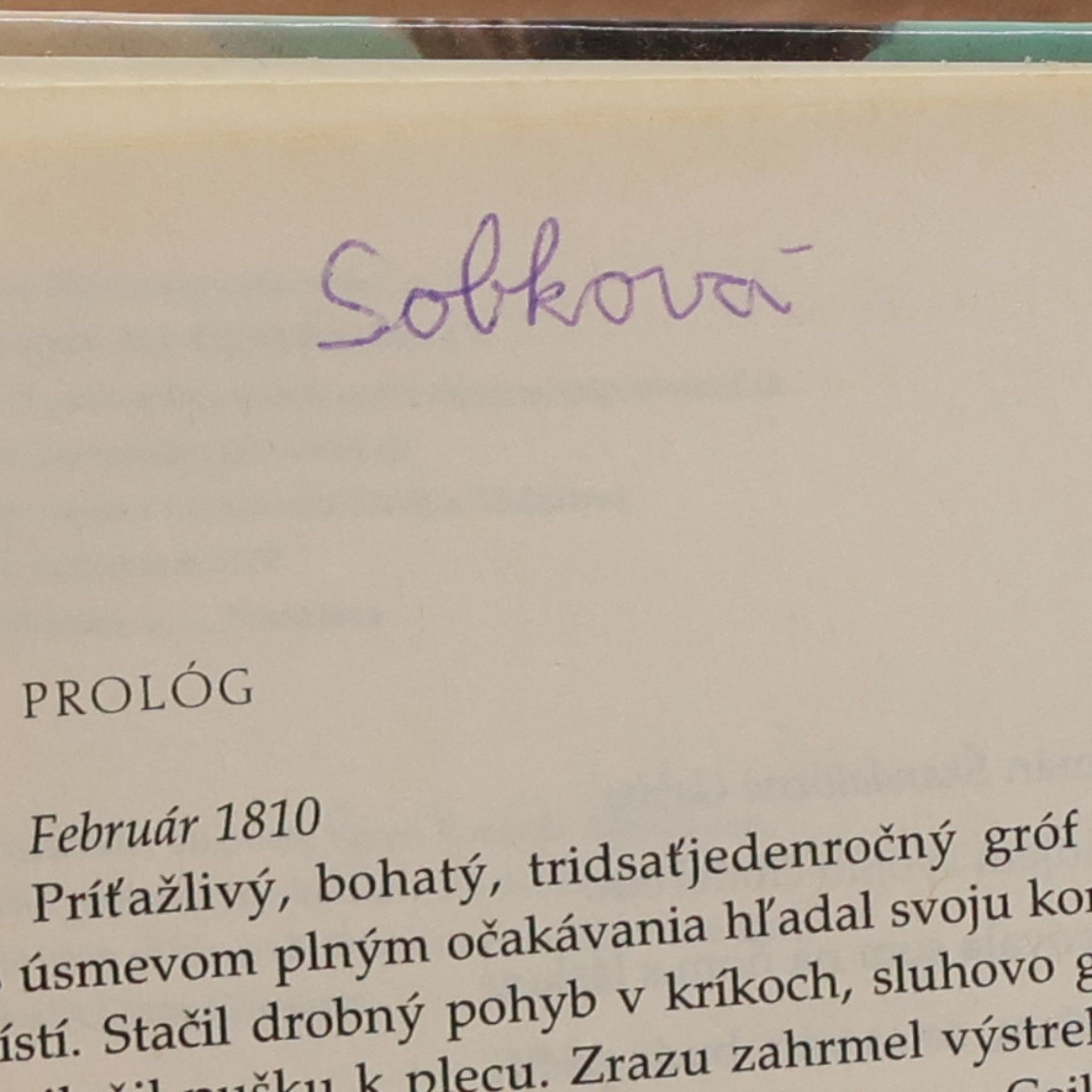 Karen Robards Škandalózna Gabby