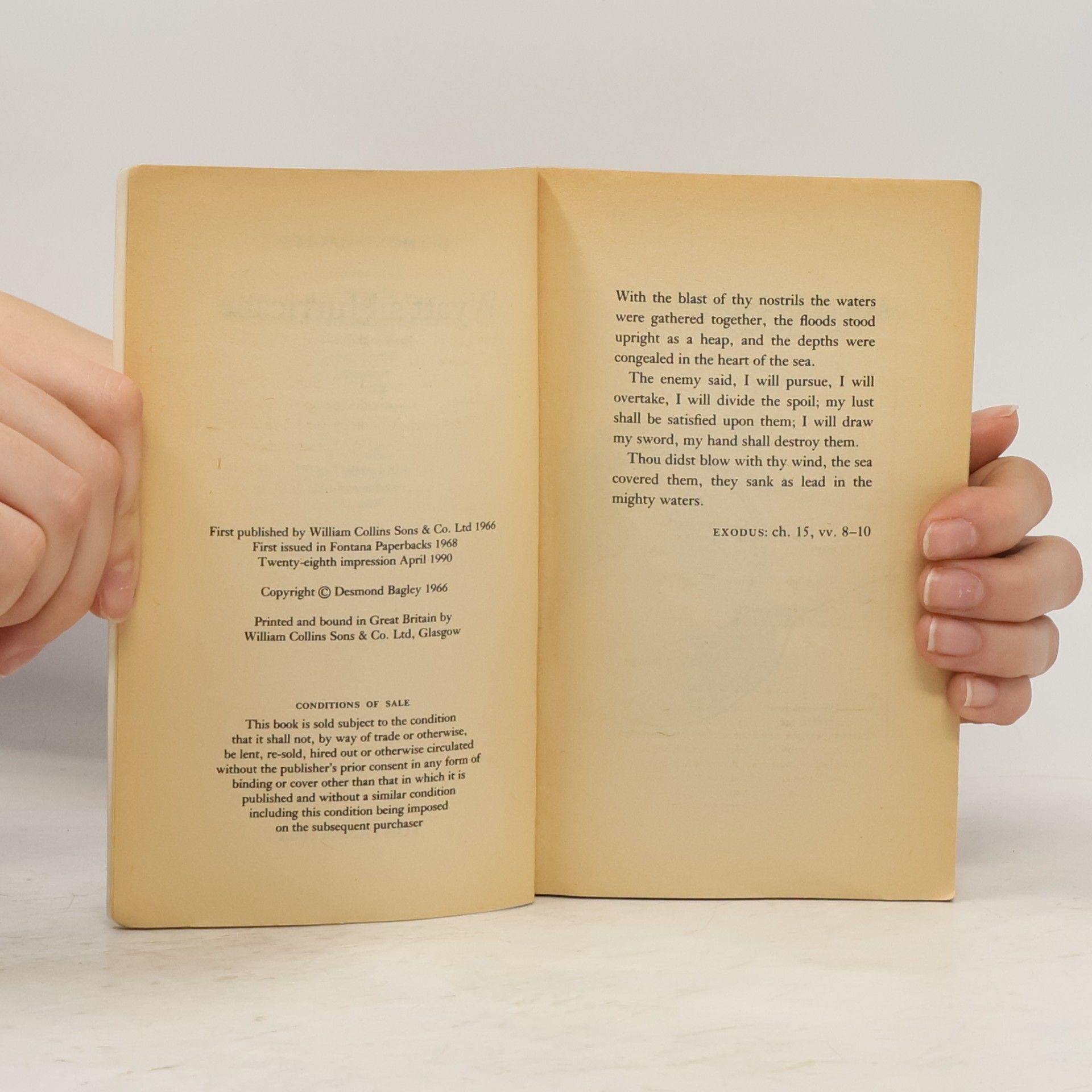 Desmond Bagley Wyatt's Hurricane