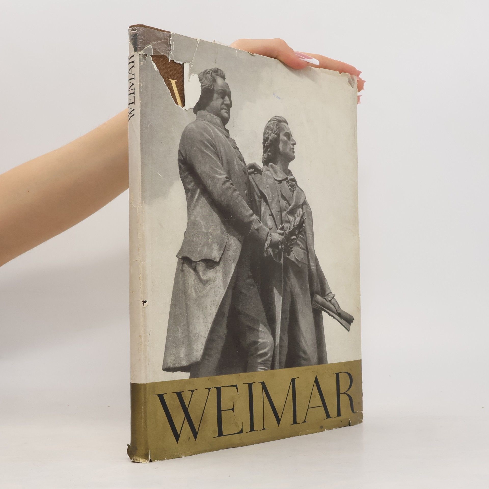 Theo Piana Weimar