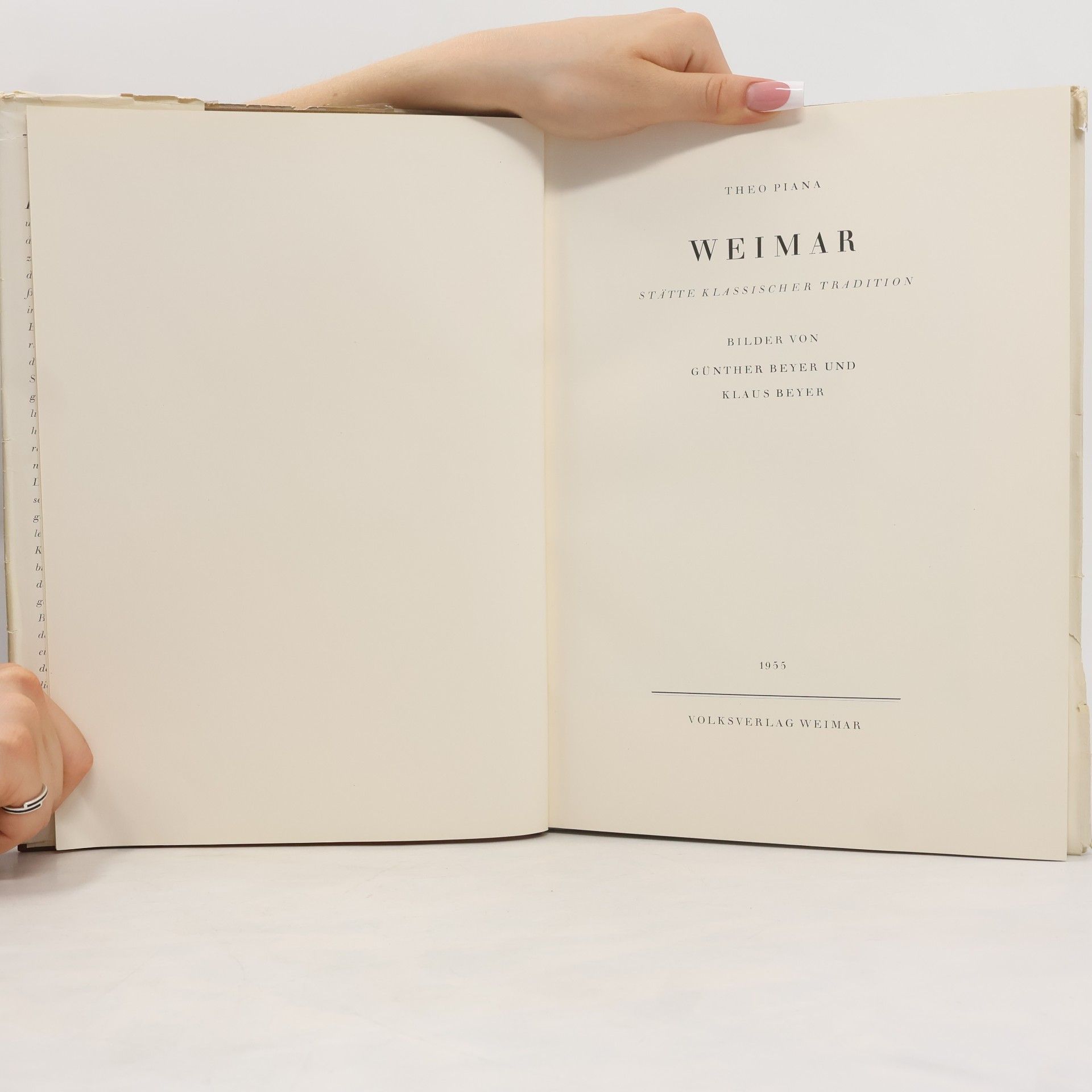 Theo Piana Weimar