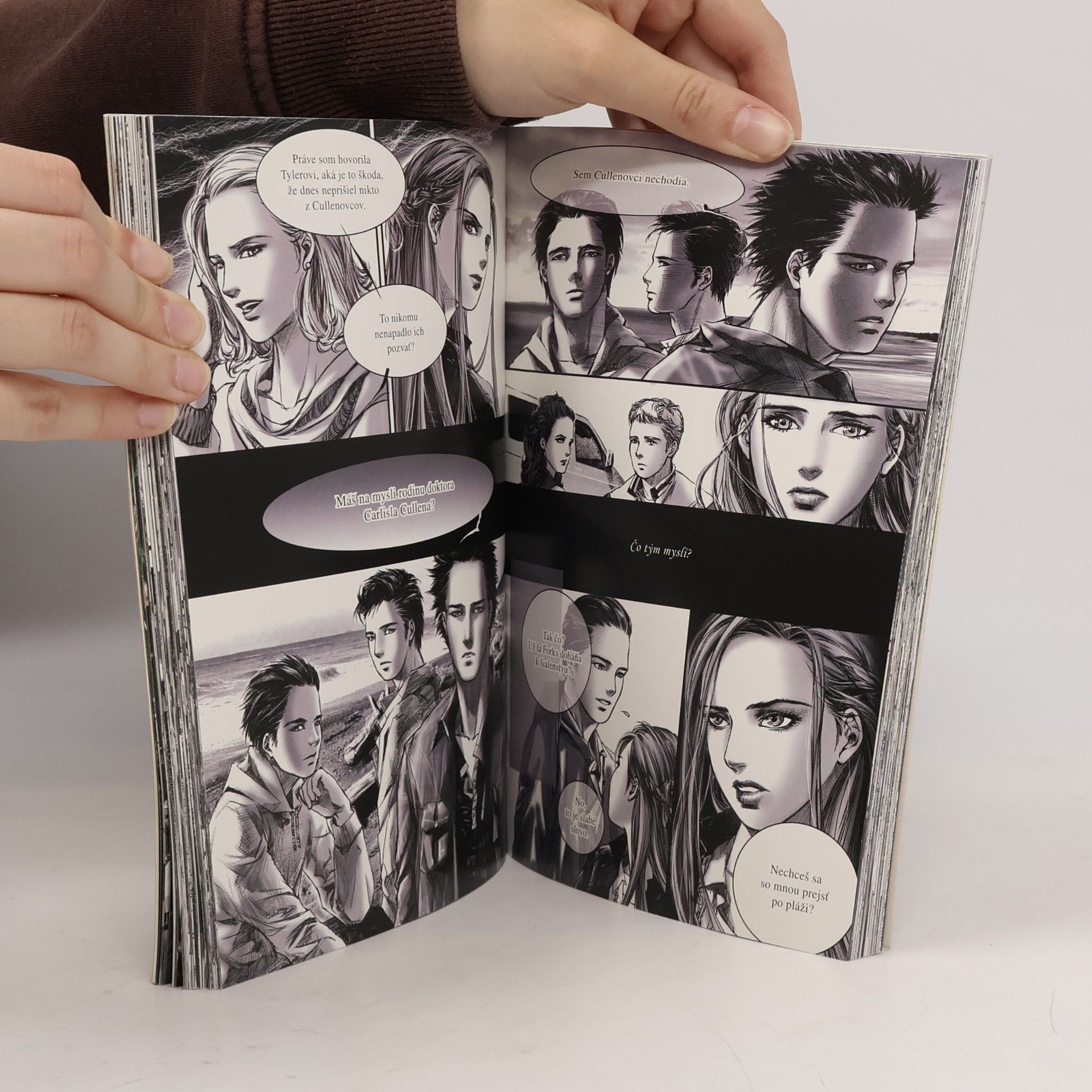 Stephenie Meyer Súmrak: grafický román. 1. diel