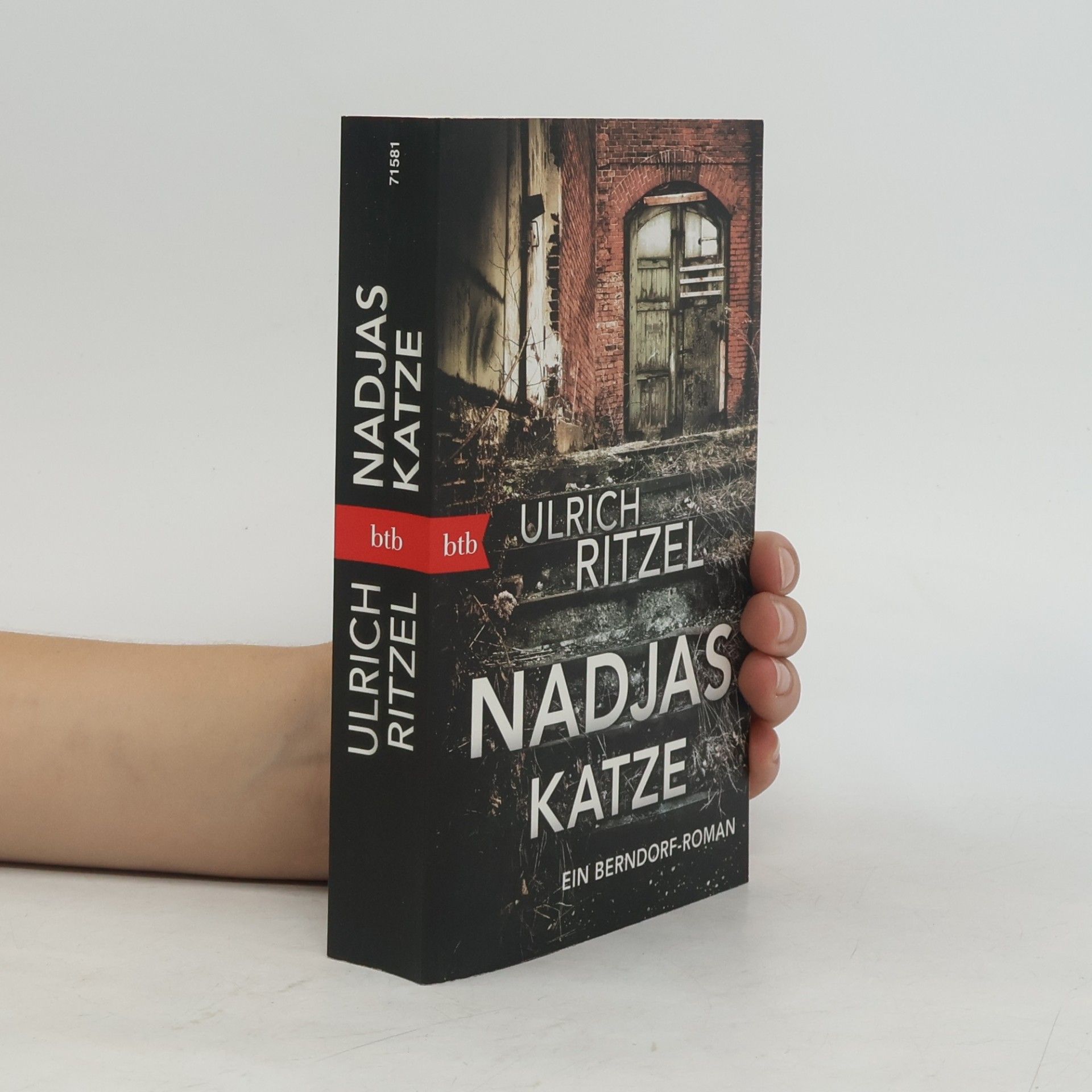 Ulrich Ritzel Nadjas Katze