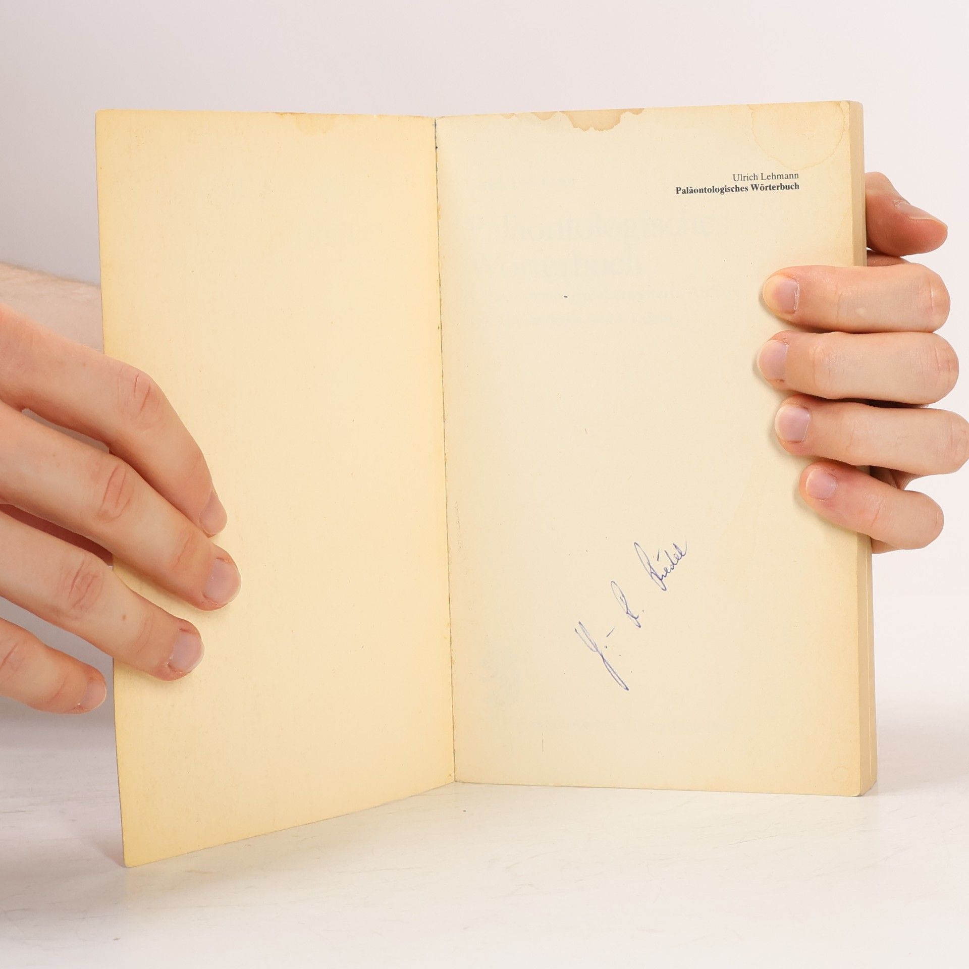 Ulrich Lehmann Paläontologisches Wörterbuch