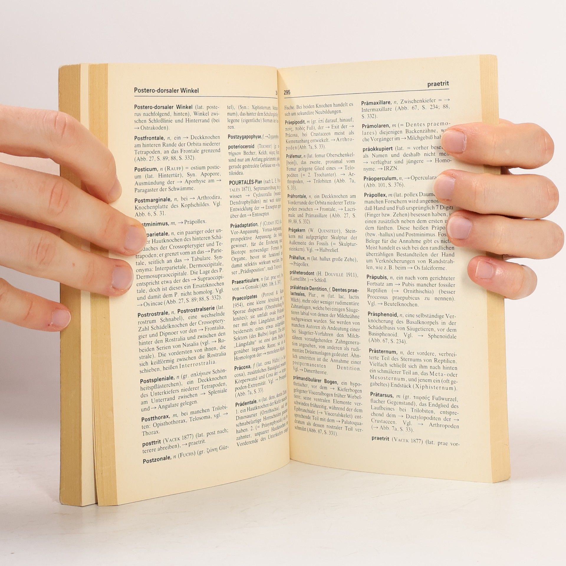 Ulrich Lehmann Paläontologisches Wörterbuch