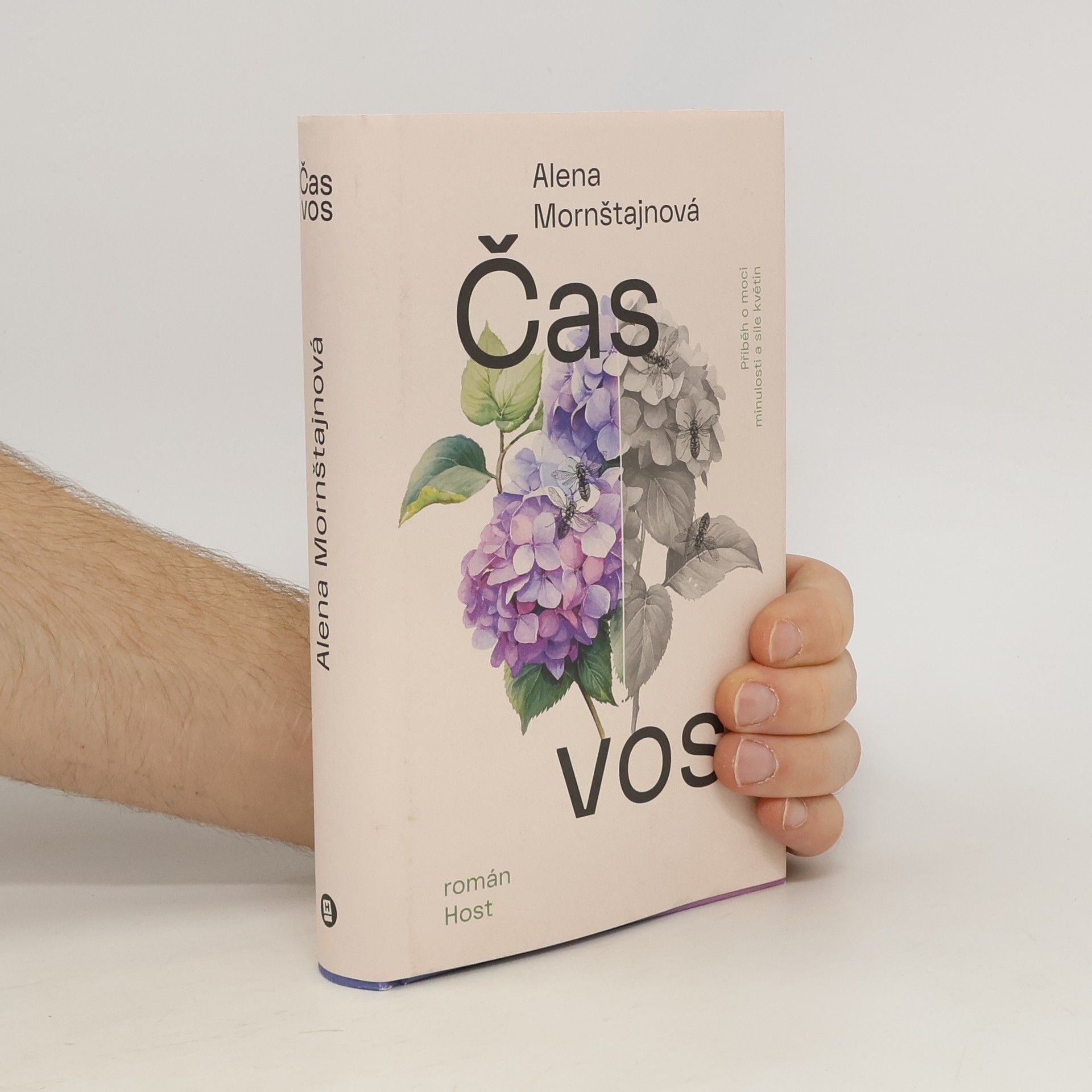 Alena Mornštajnová Čas vos
