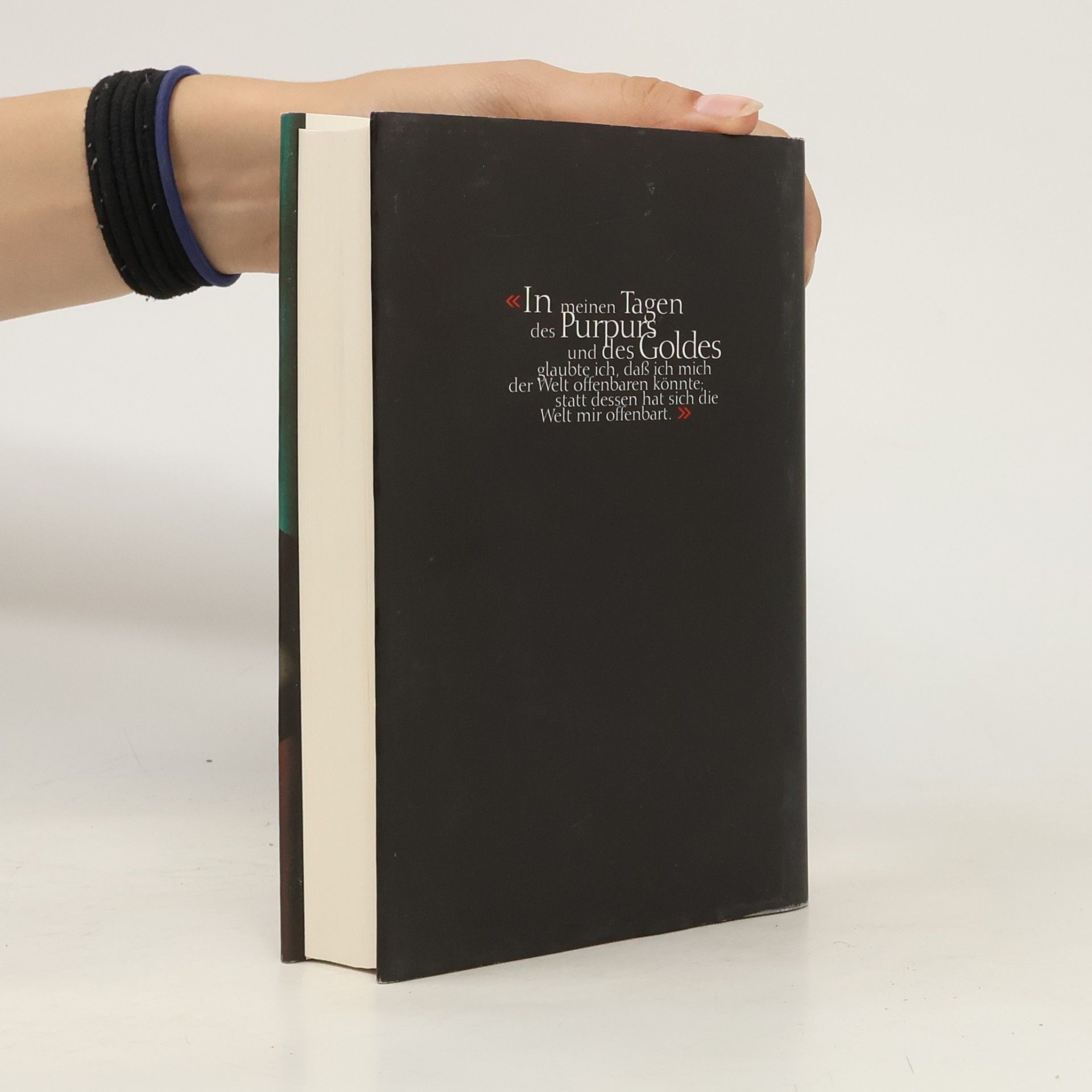 Peter Ackroyd Das Tagebuch des Oscar Wilde