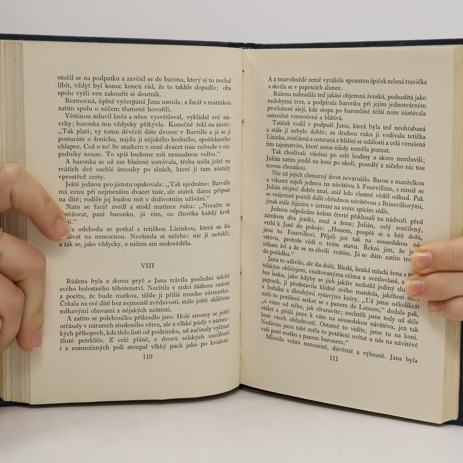 Guy de Maupassant Příběh jednoho života
