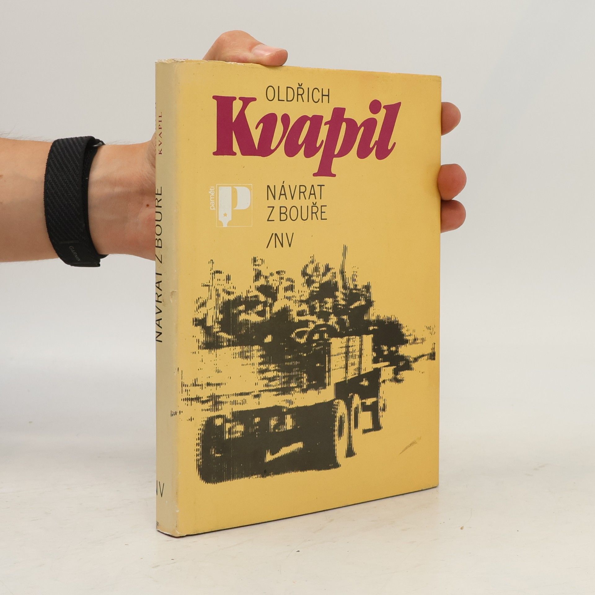 Oldřich Kvapil Návrat z bouře