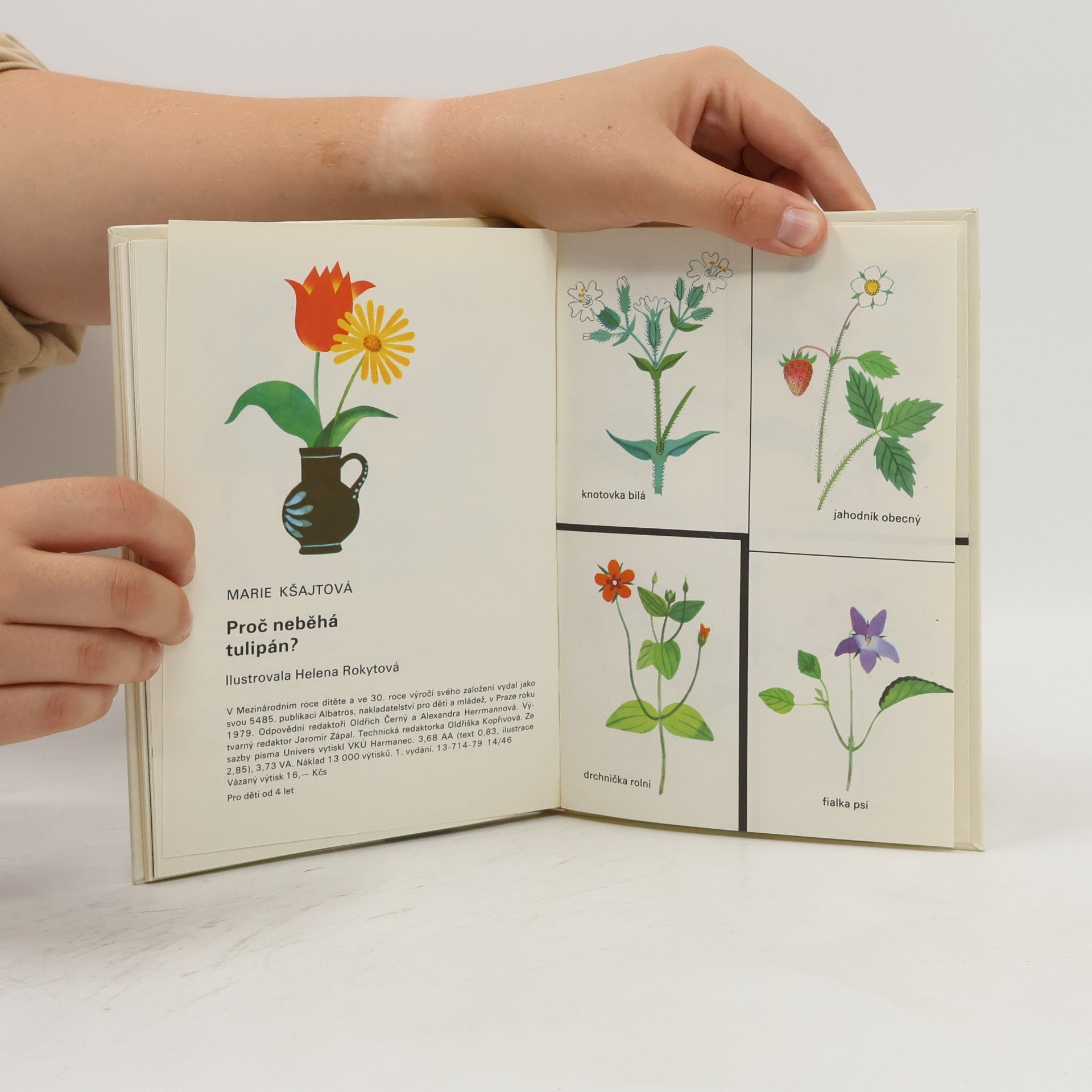 Marie Kšajtová Proč neběhá tulipán?