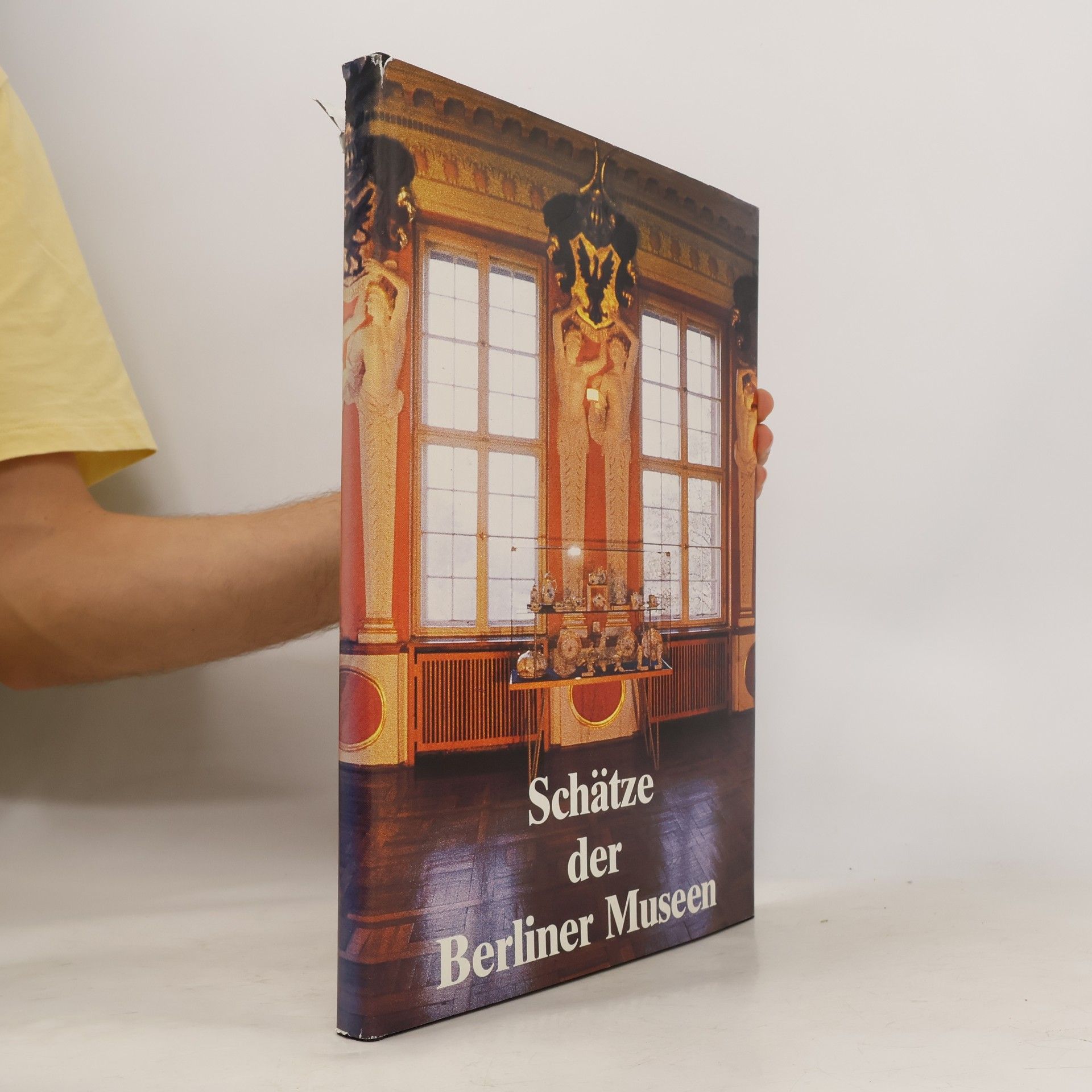 Kolektiv autorů Schätze der Berliner Museen