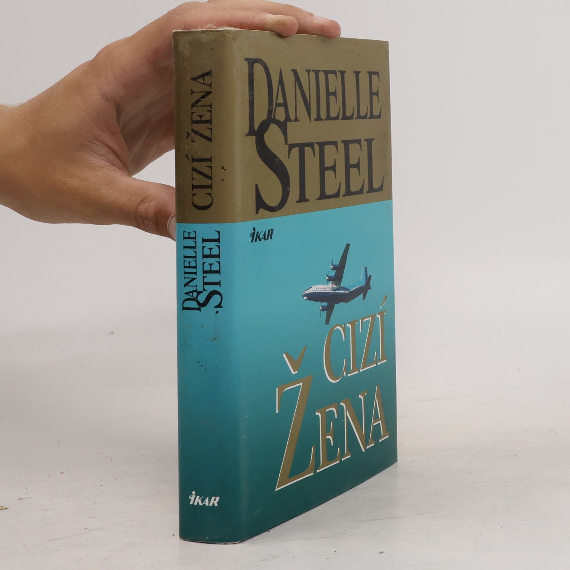 Danielle Steel Cizí žena