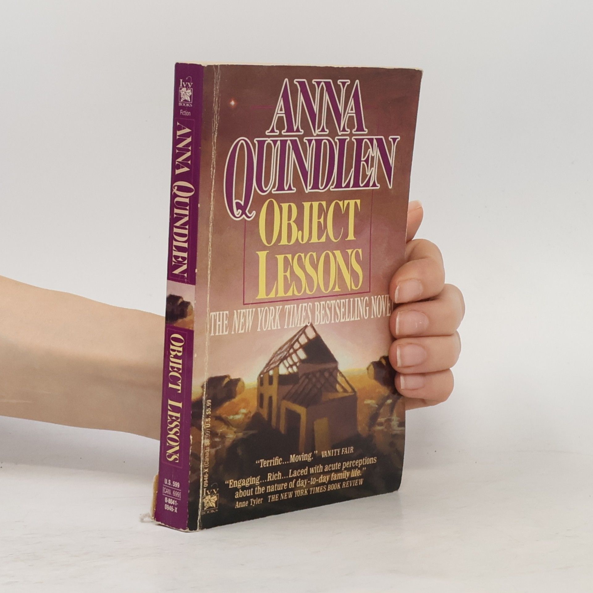 Anna Quindlen Object Lessons