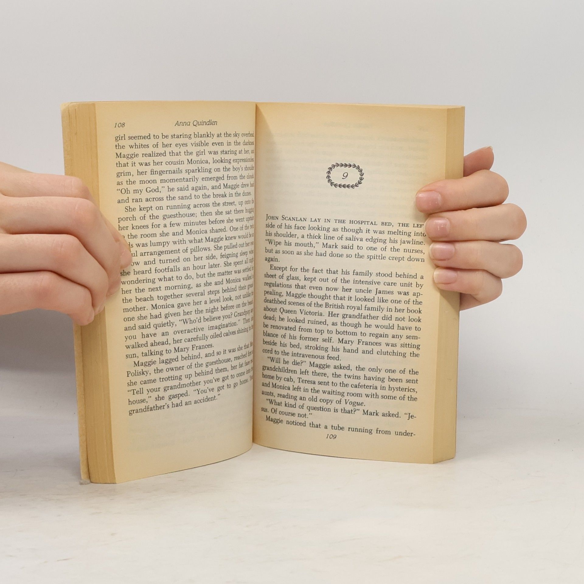 Anna Quindlen Object Lessons