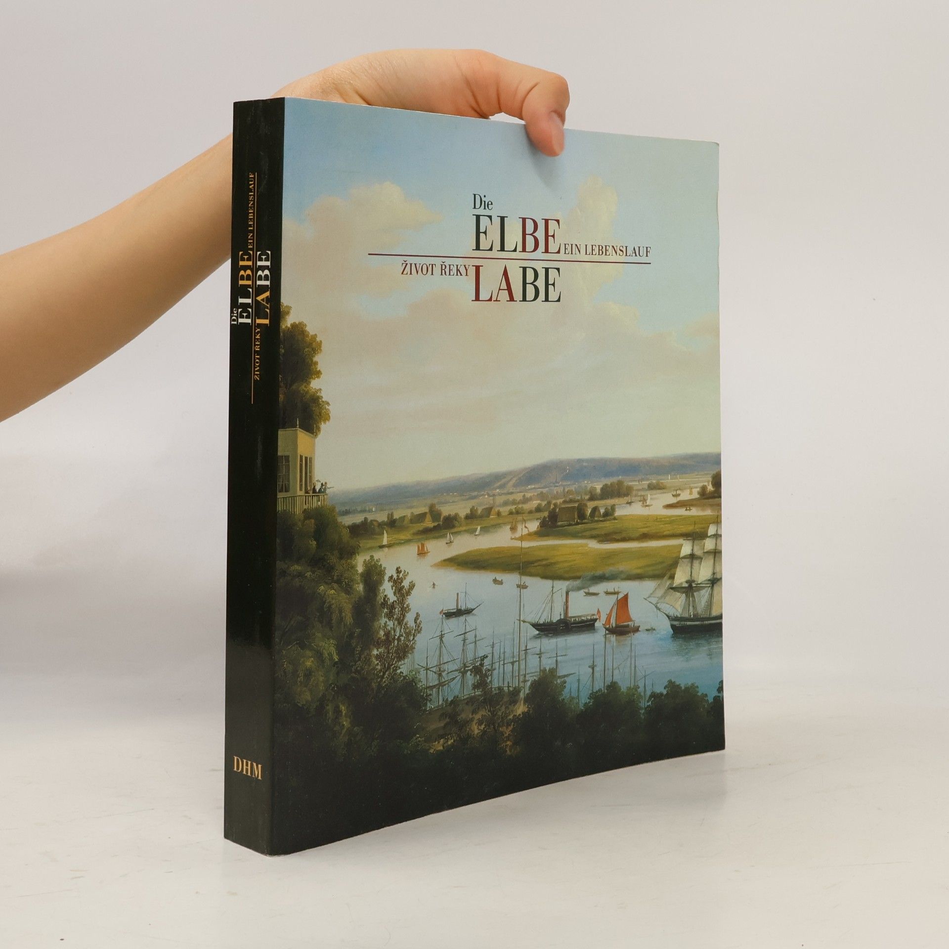 Gesine Asmus Die Elbe