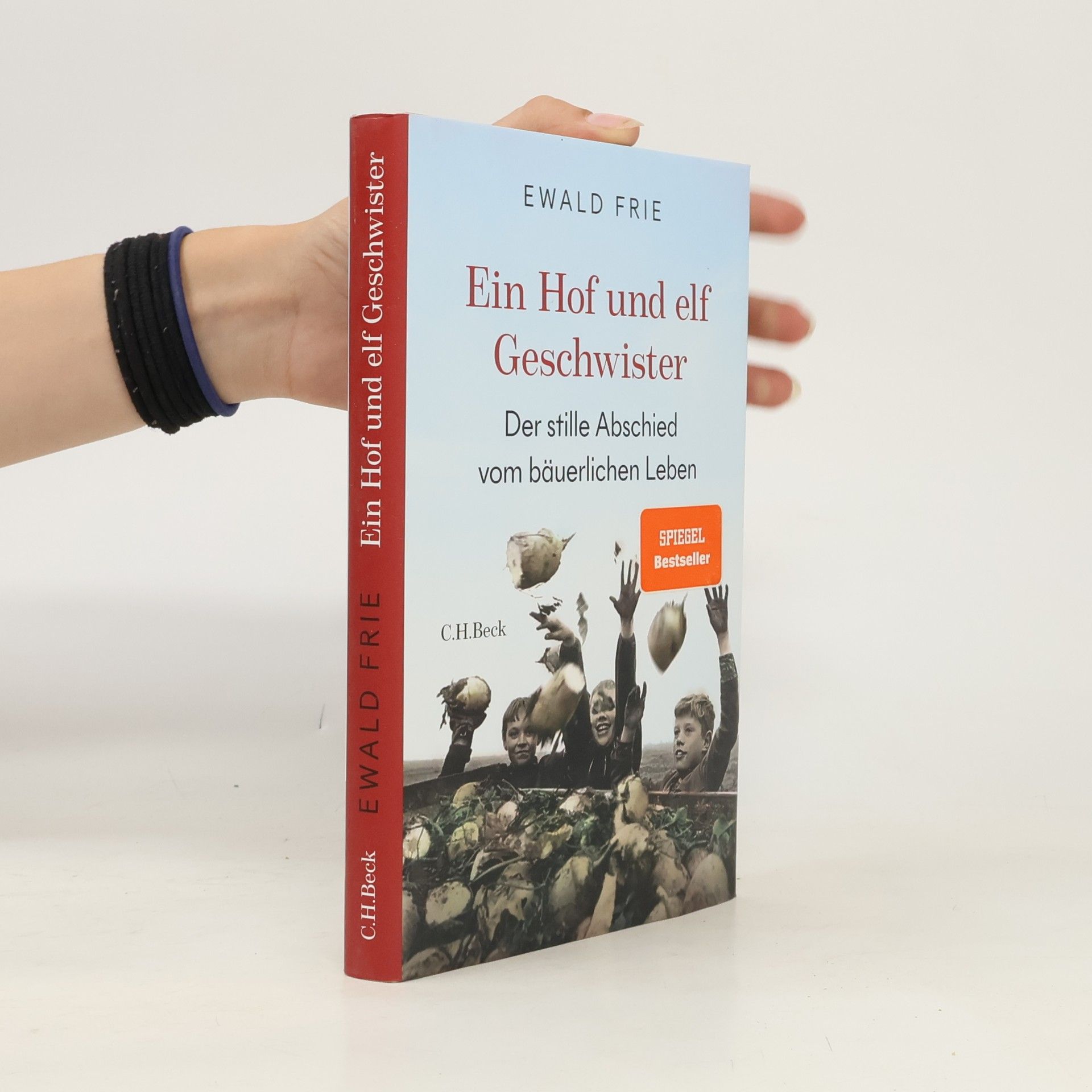 Ewald Frie Ein Hof und elf Geschwister