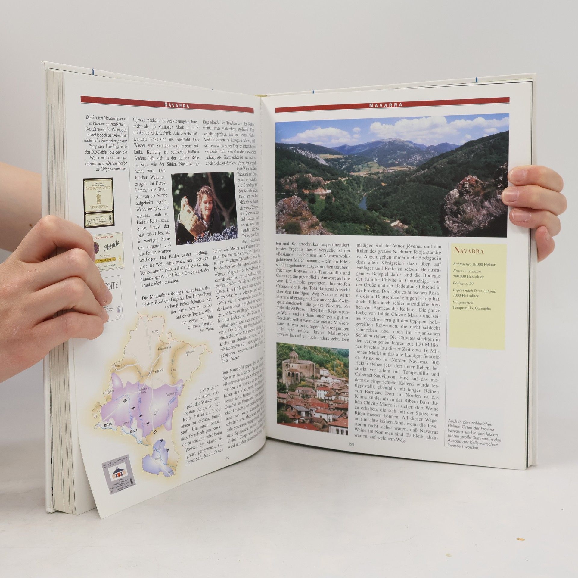 Autorenkollektiv Das Wein Buch