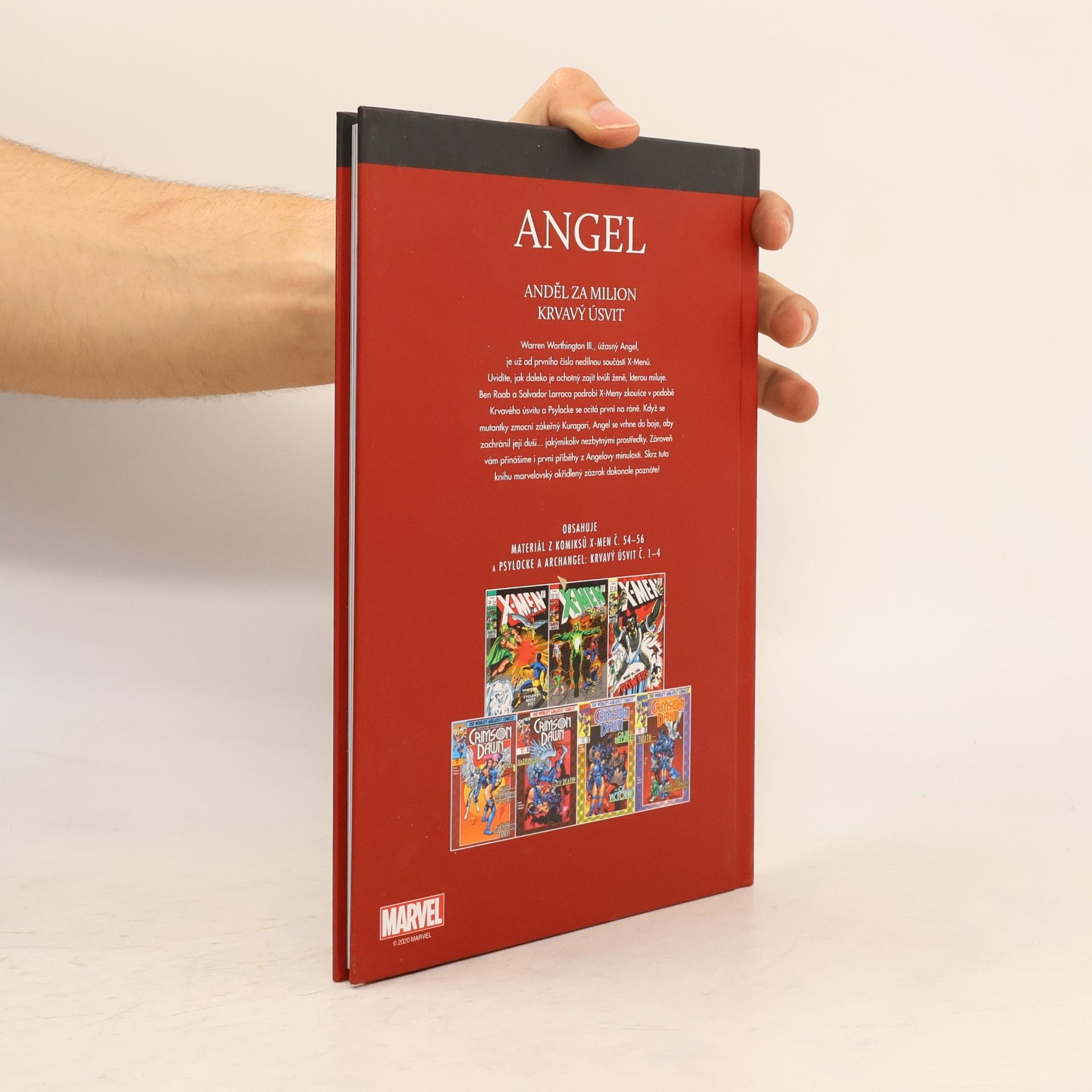 Various authors Angel