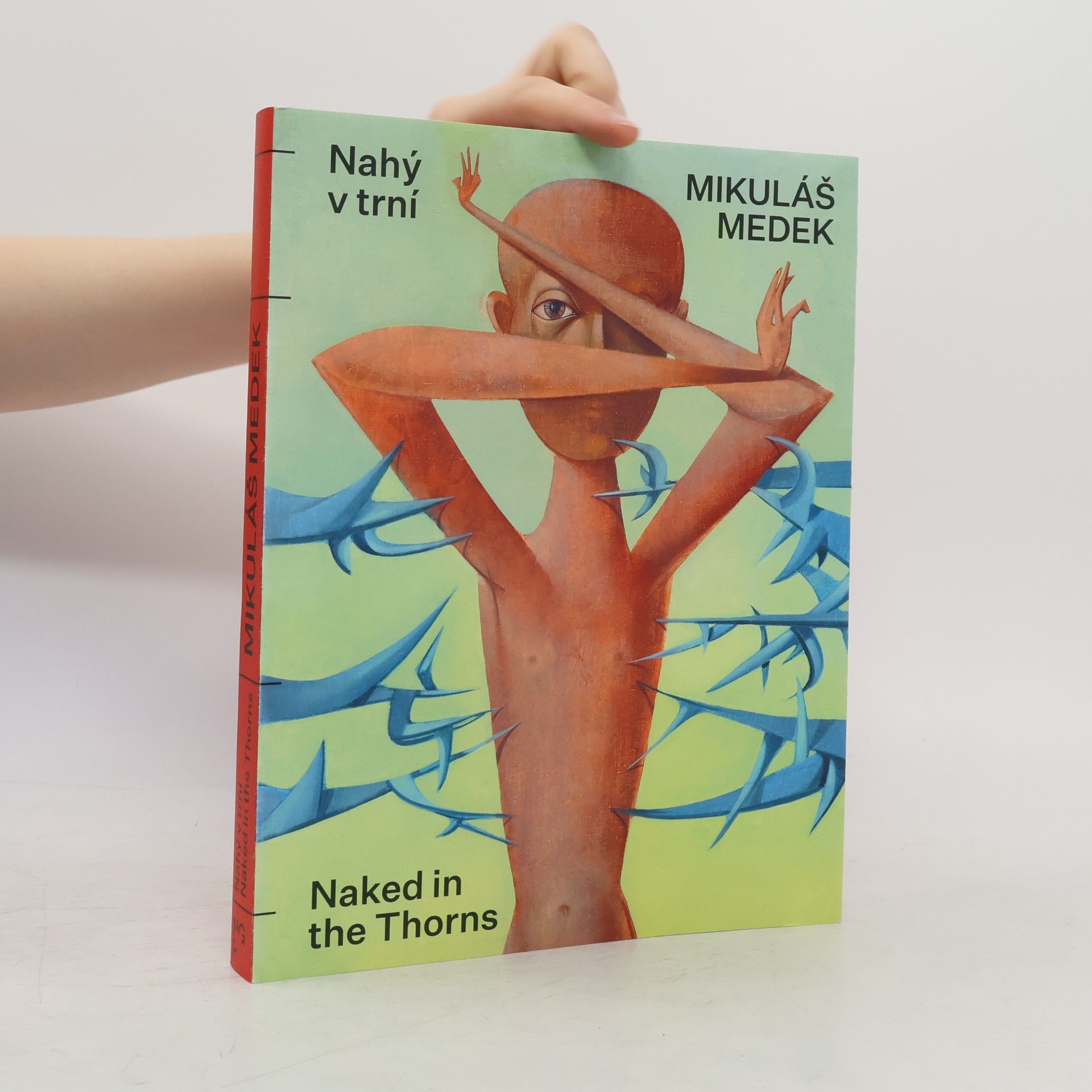 Autorenkollektiv Mikuláš Medek: Nahý v trní