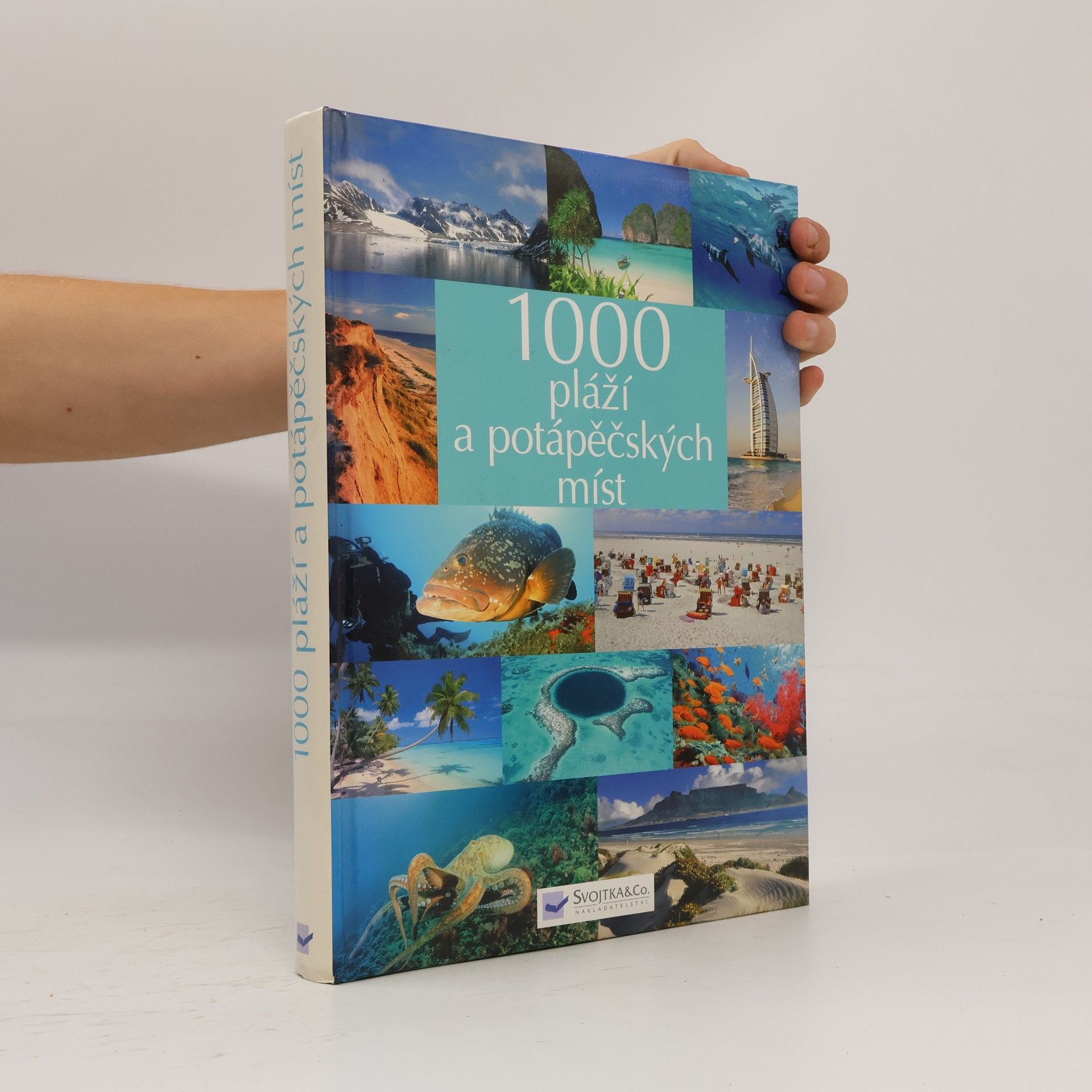 Autores varios 1000 pláží a potápěčských míst