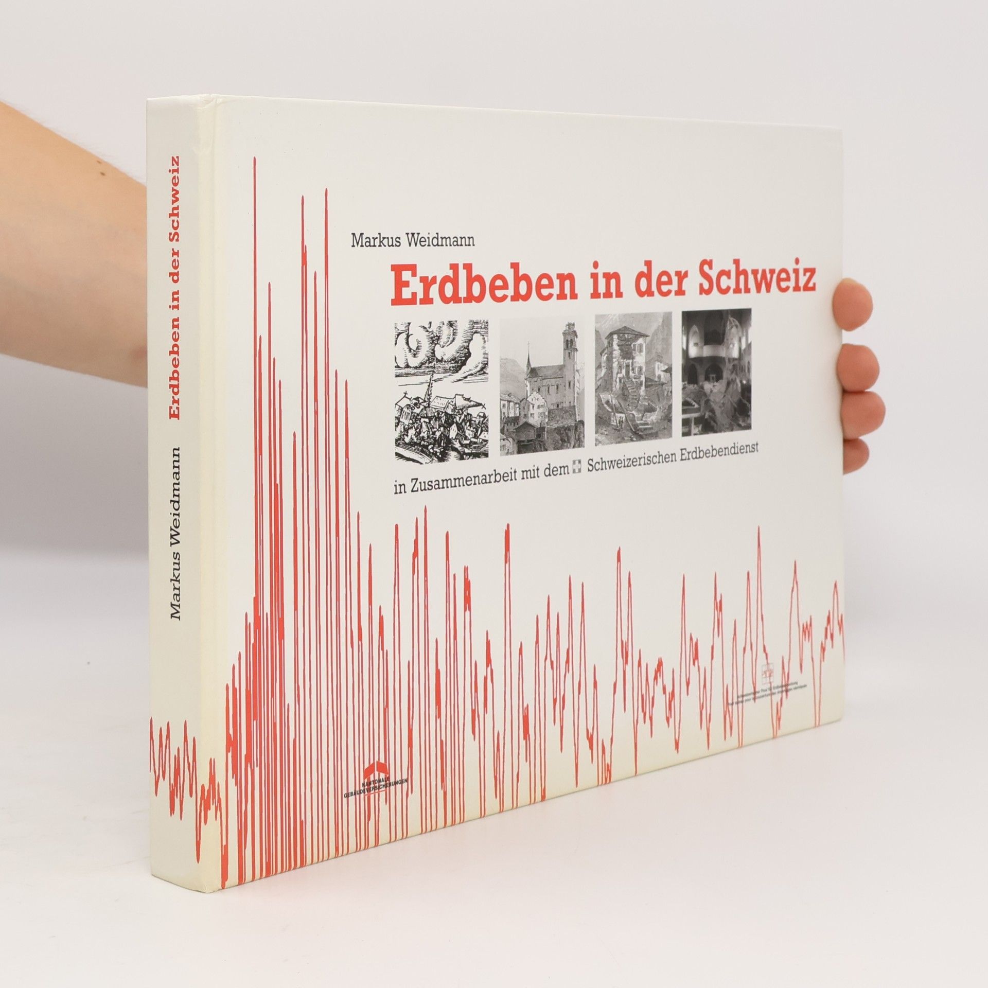 Markus Weidmann Erdbeben in der Schweiz