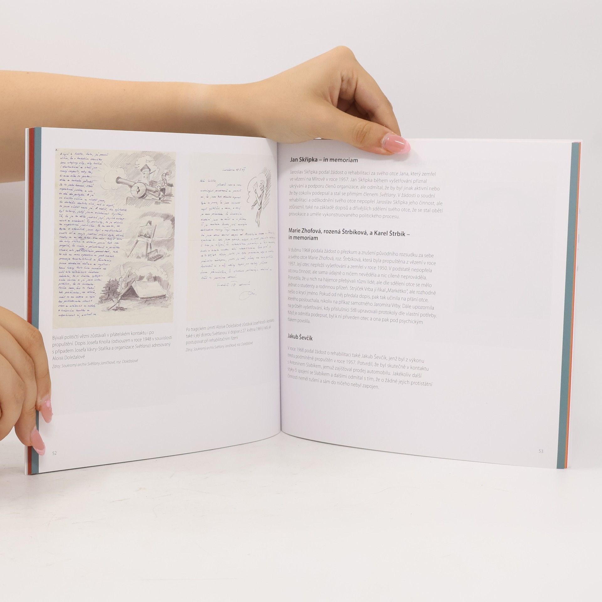 Collectif d'auteurs Případ Světlana. Proměny obrazu třetího odboje