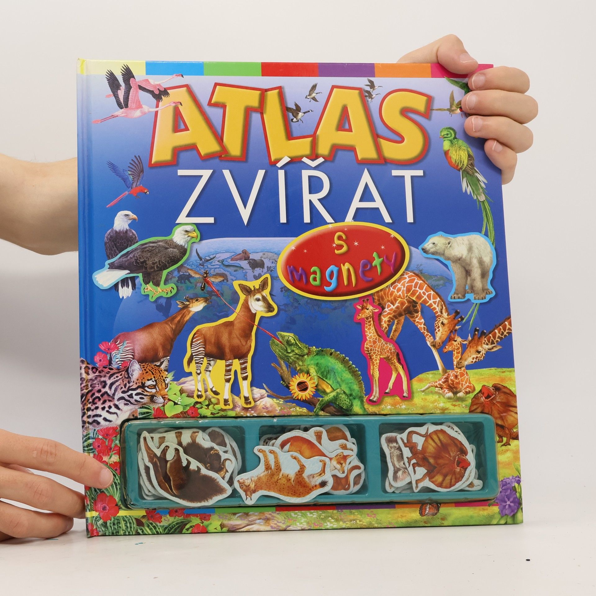 Francisco Arredondo Atlas zvířat s magnety