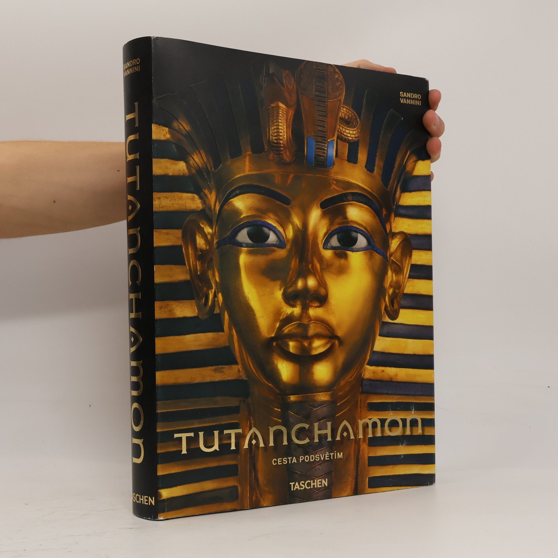 Sandro Vannini Tutanchamon: Cesta podsvětím