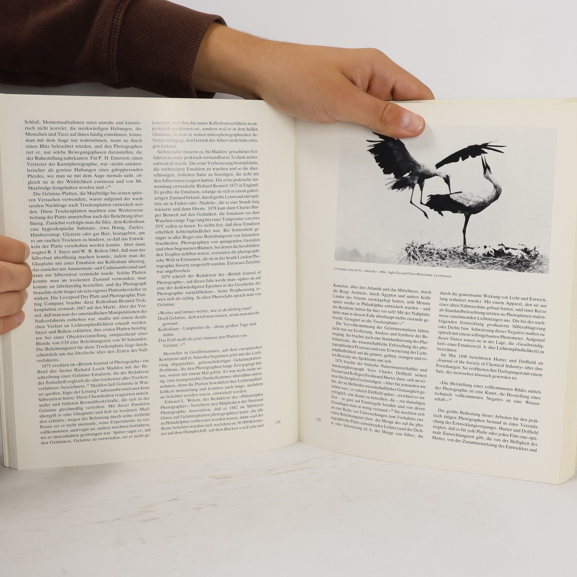 Beaumont Newhall Geschichte der Photographie