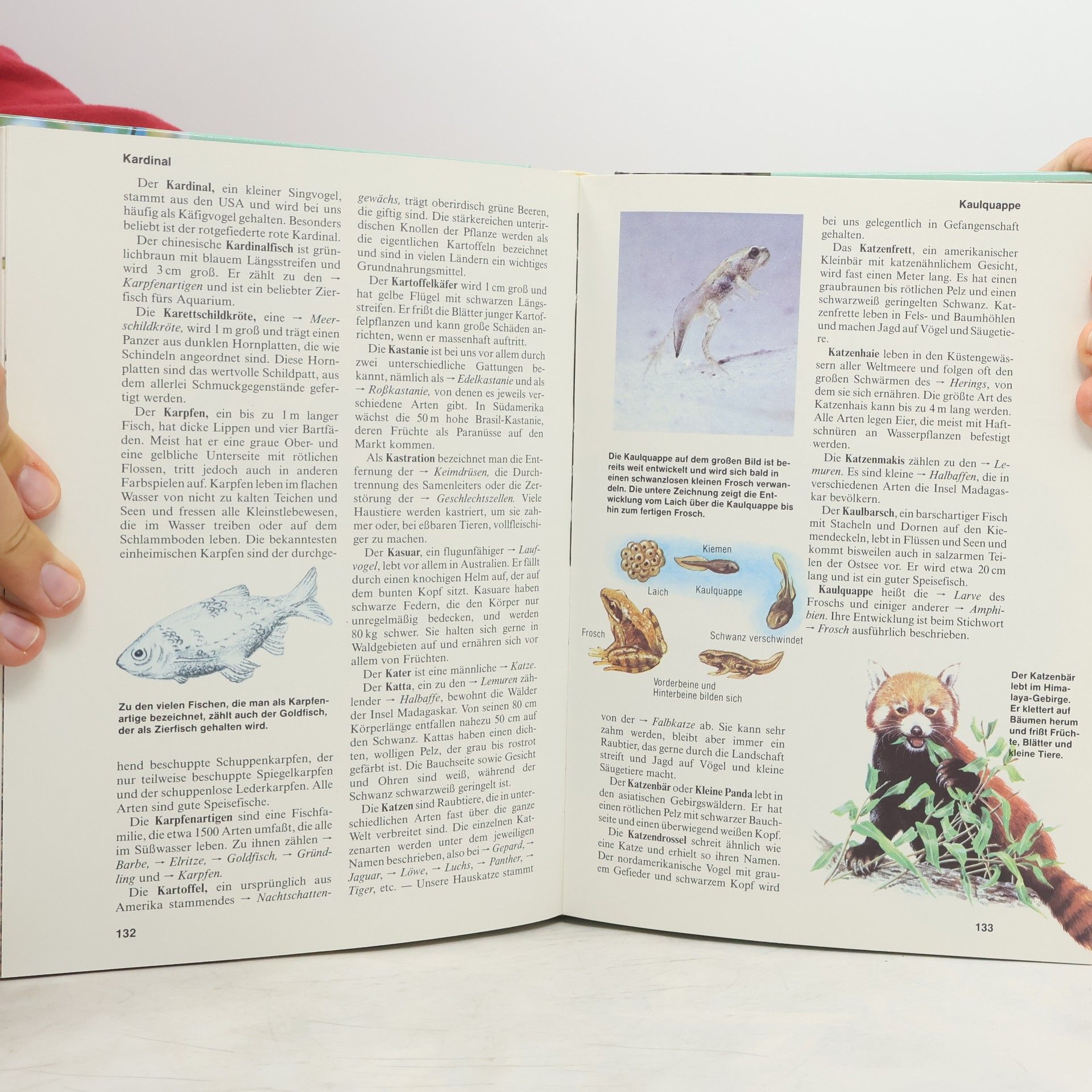 Various authors Das große farbige jugend Lexikon der Natur