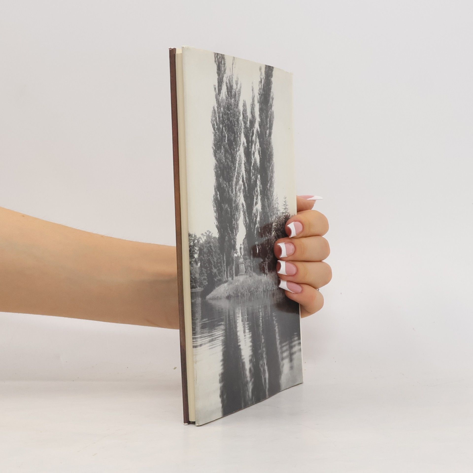 Autores varios Jean-Jacques Rousseau