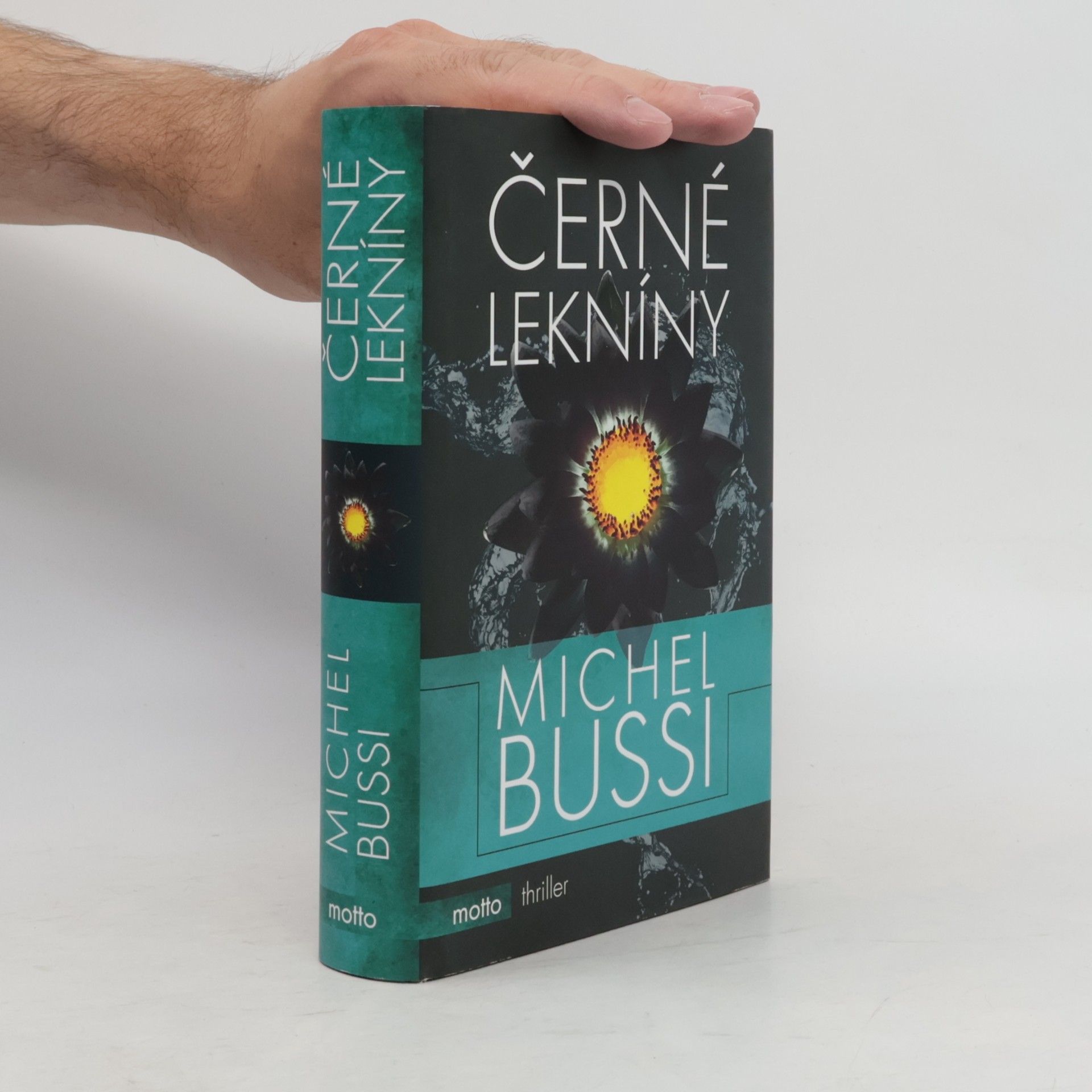 Michel Bussi Černé lekníny