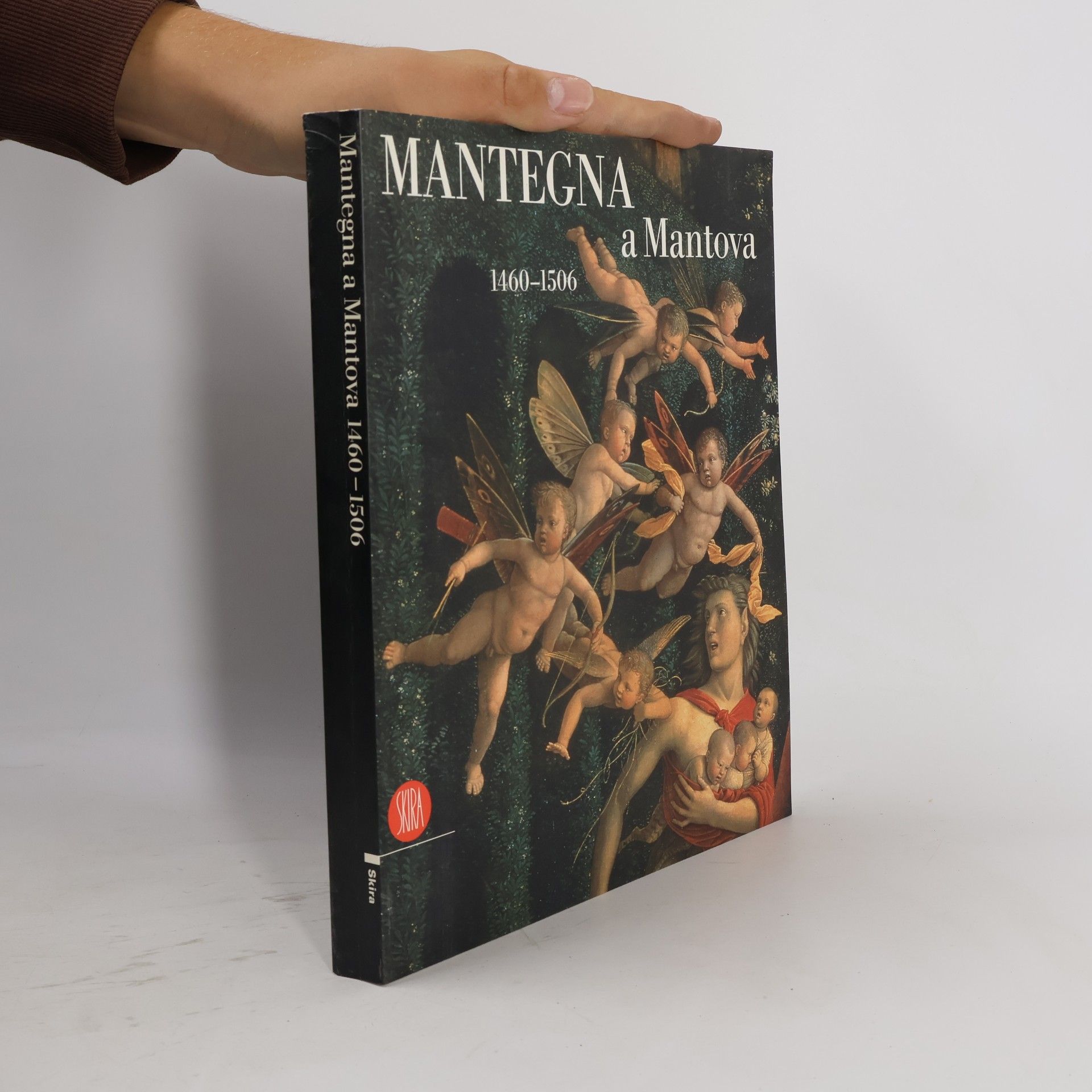 Mauro Lucco Mantegna a Mantova. 1460-1506. Ediz. illustrata