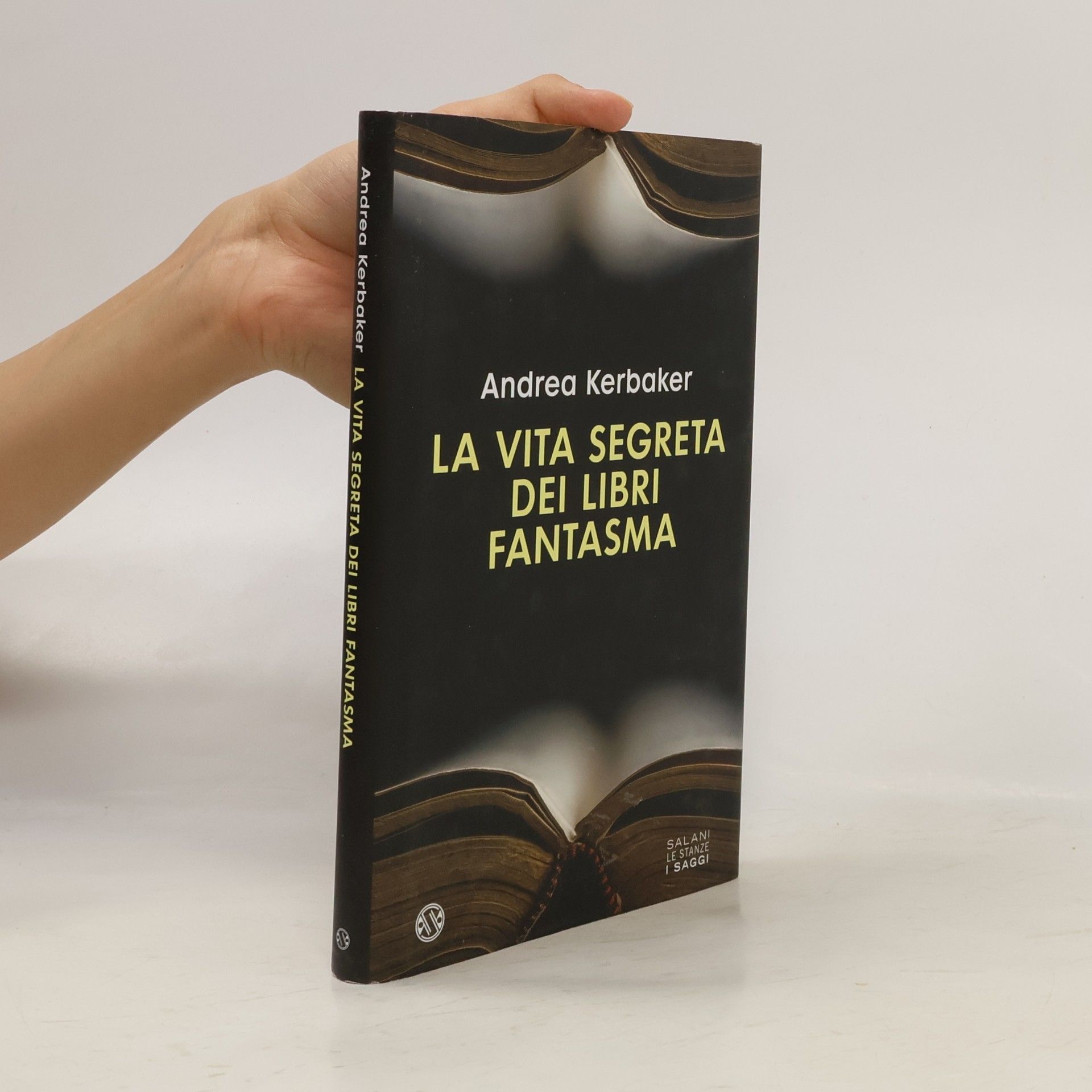 Le stanze i saggi: La vita segreta dei libri fantasma